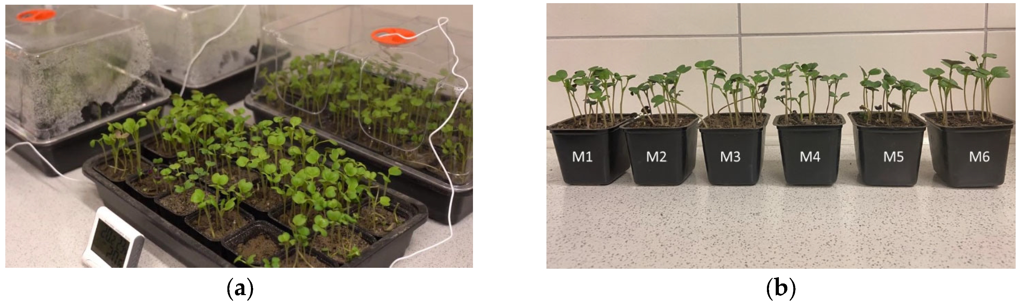 Resources 14 00057 g008