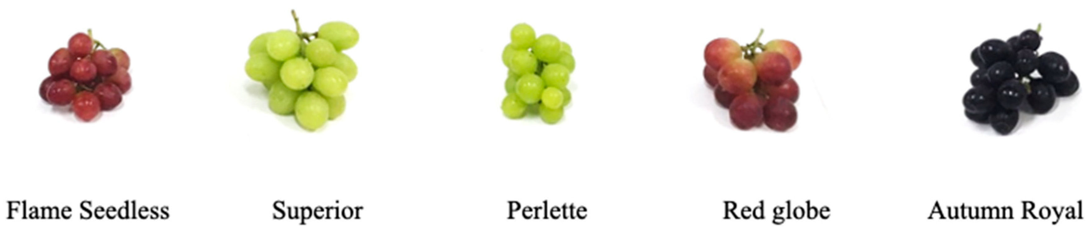 Resources 14 00065 g001