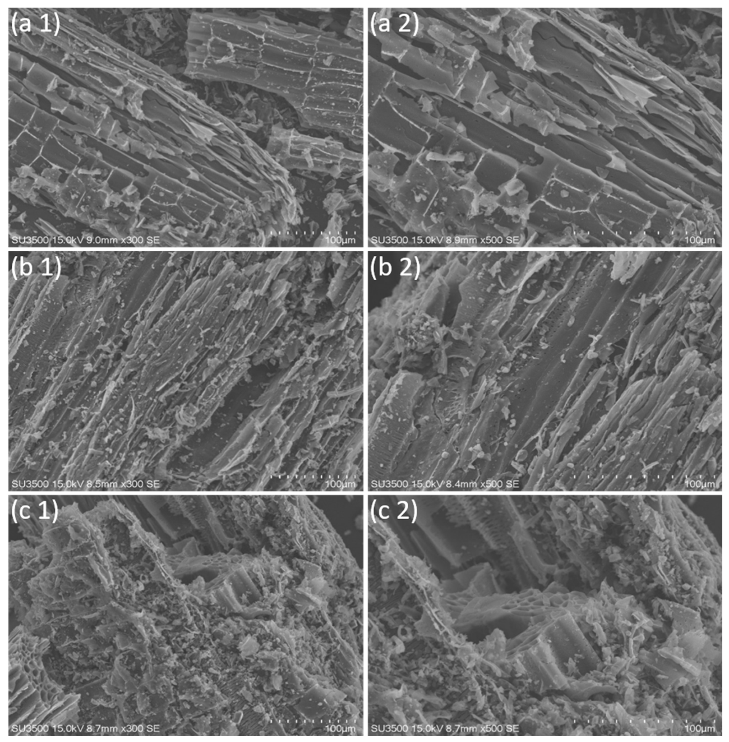 Resources 14 00075 g006