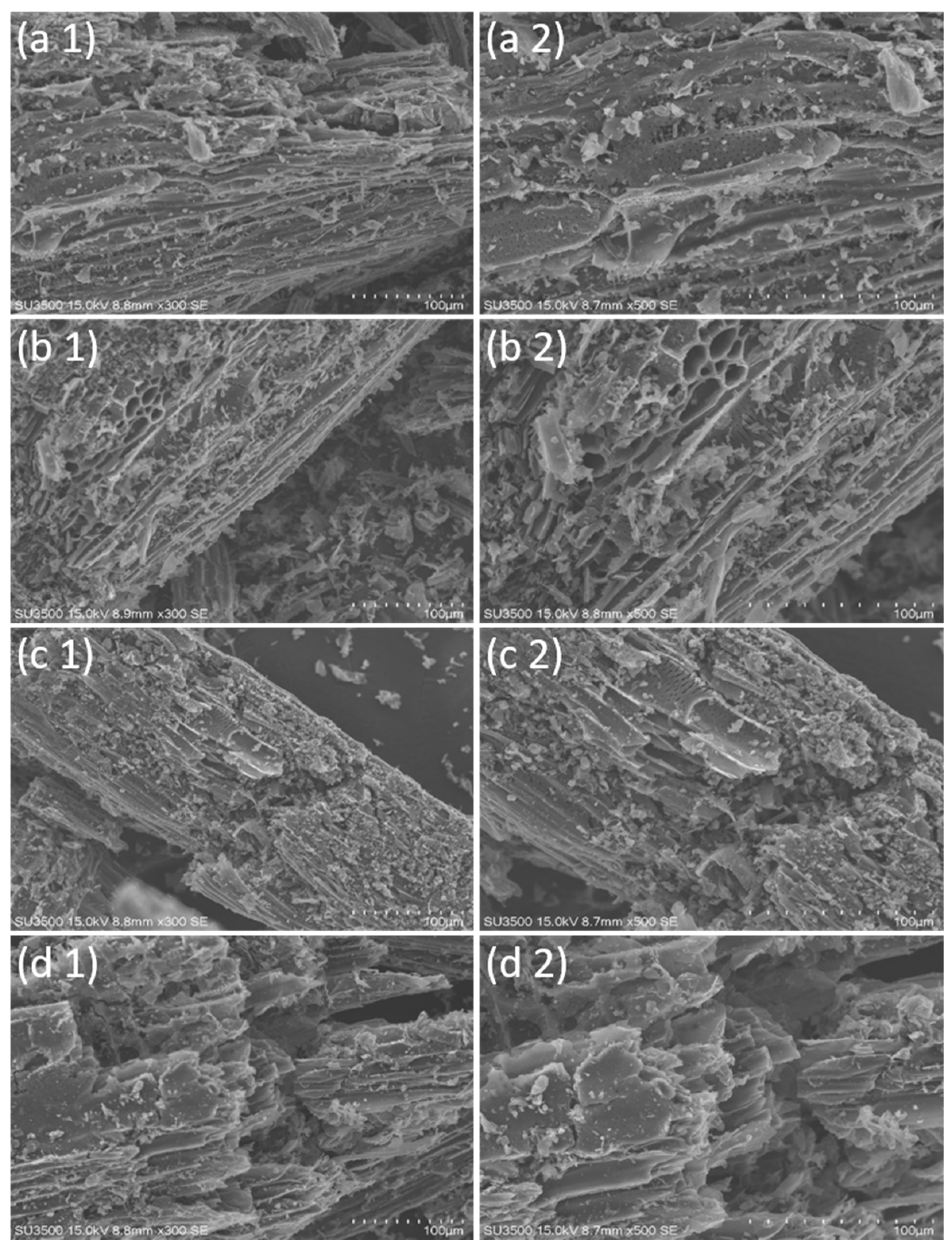 Resources 14 00075 g007