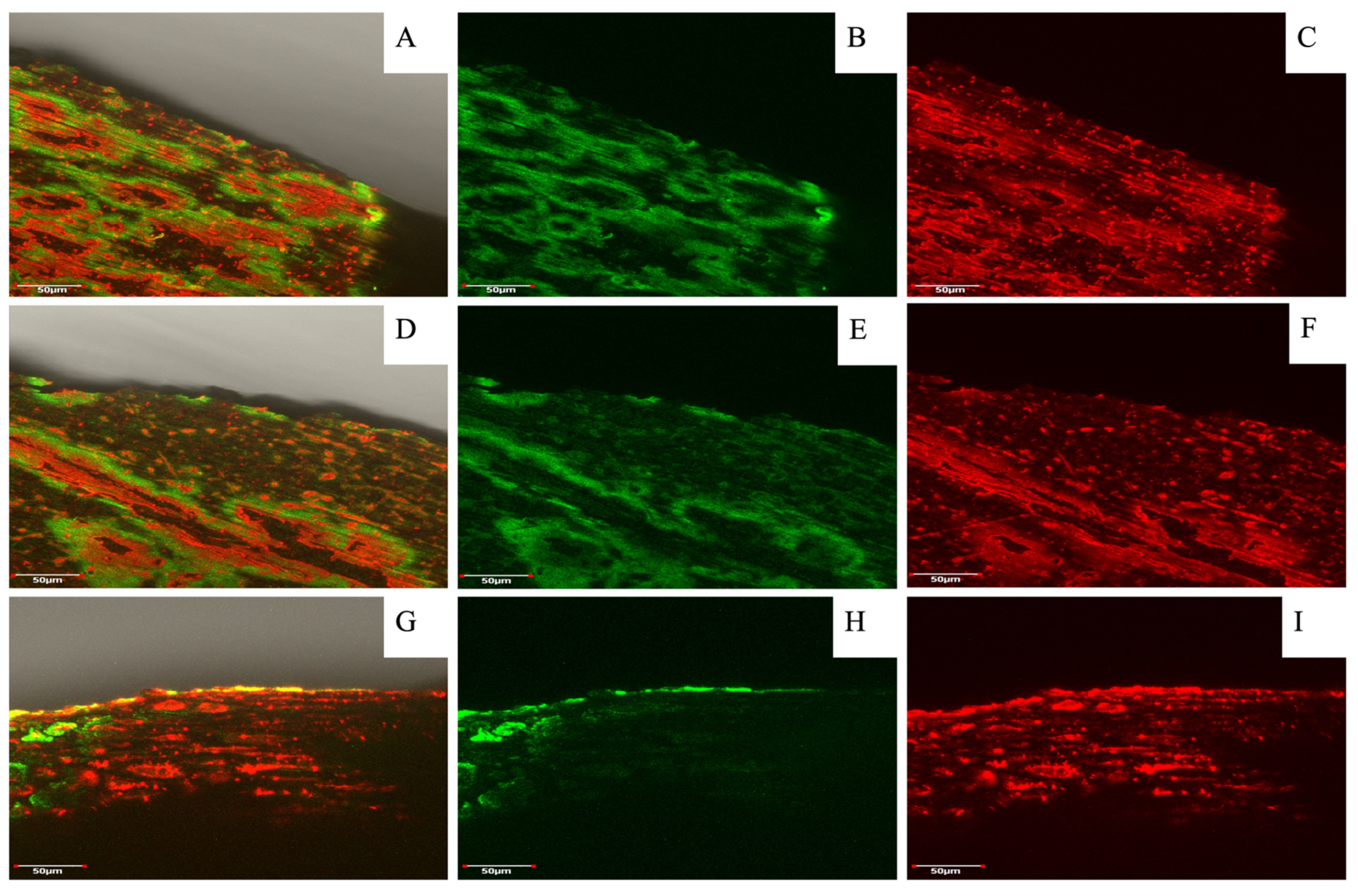Resources 14 00082 g006