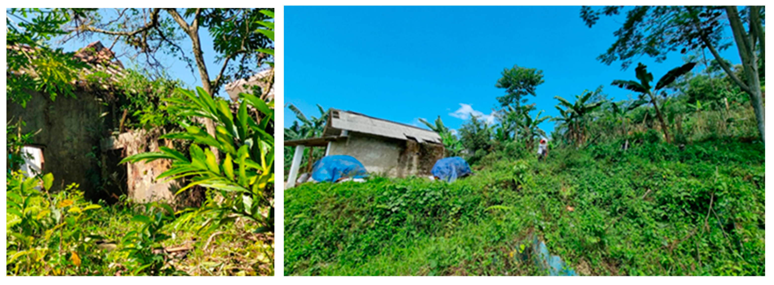 Resources 14 00093 g002