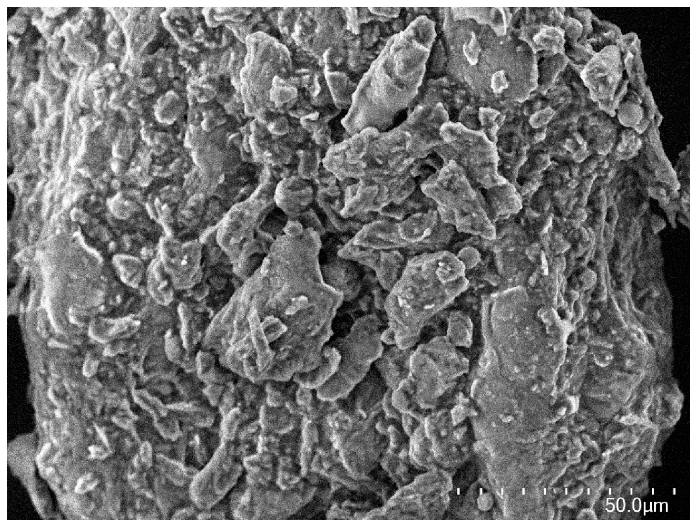 Resources 14 00109 g004