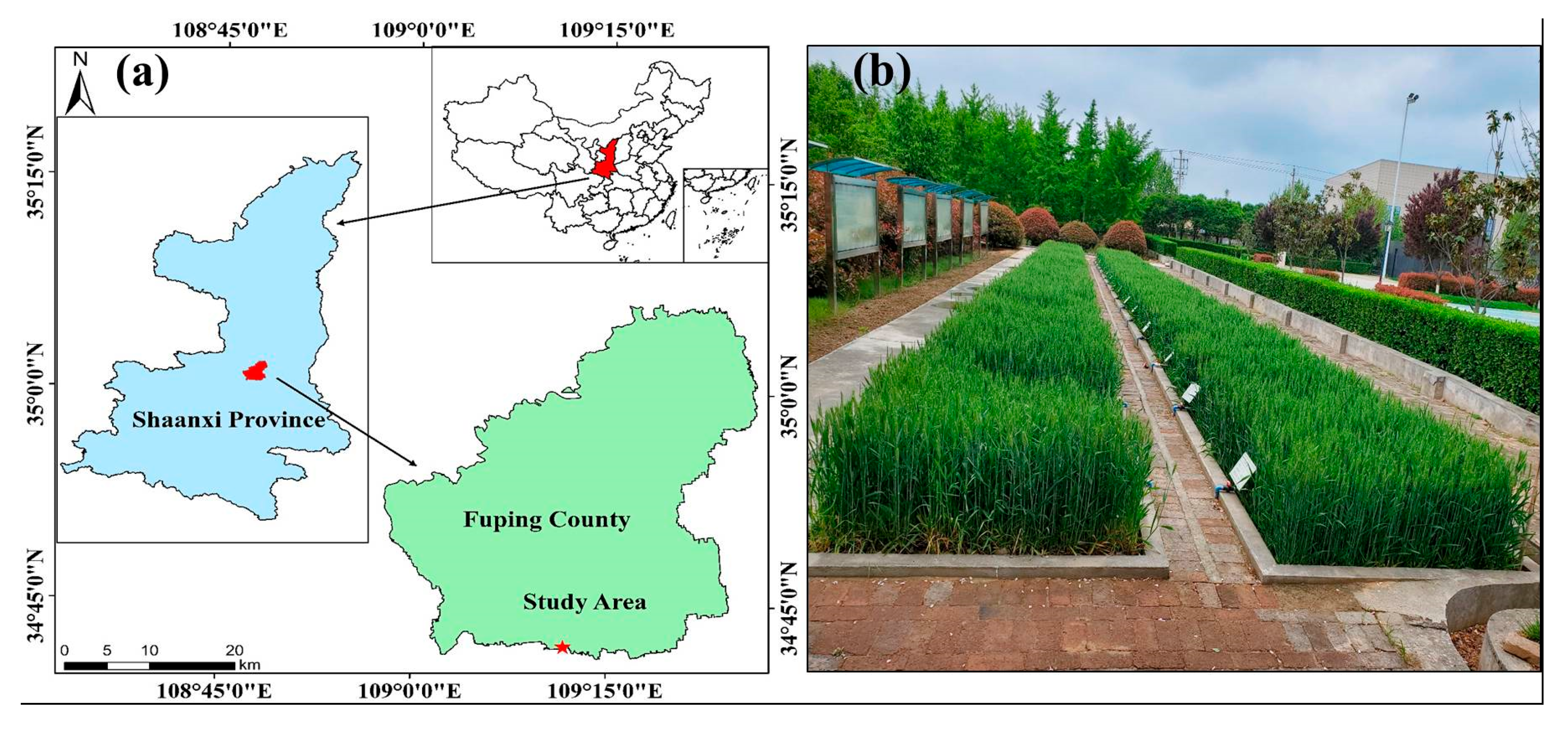 Resources 14 00116 g001