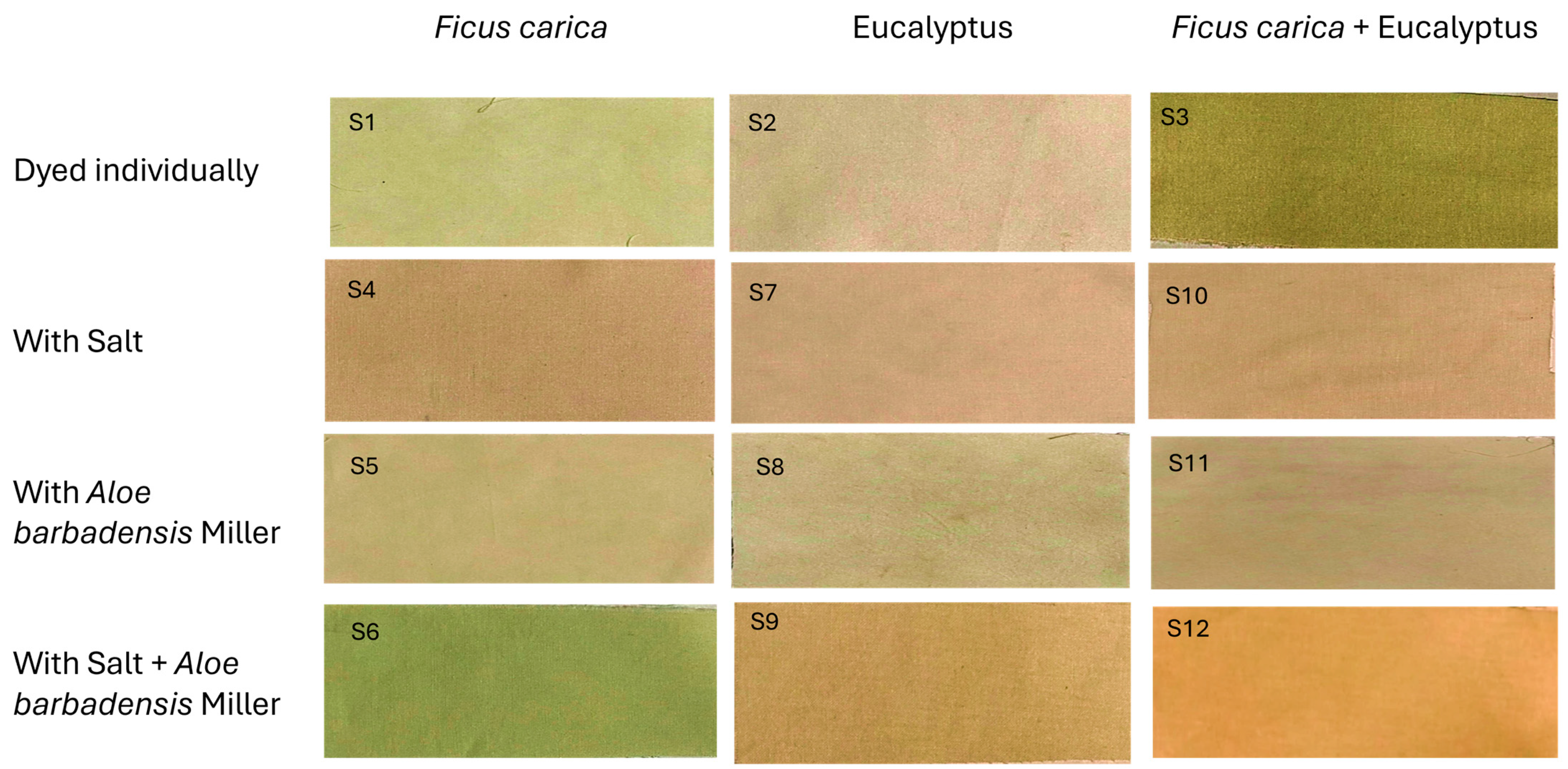 Resources 14 00127 g004