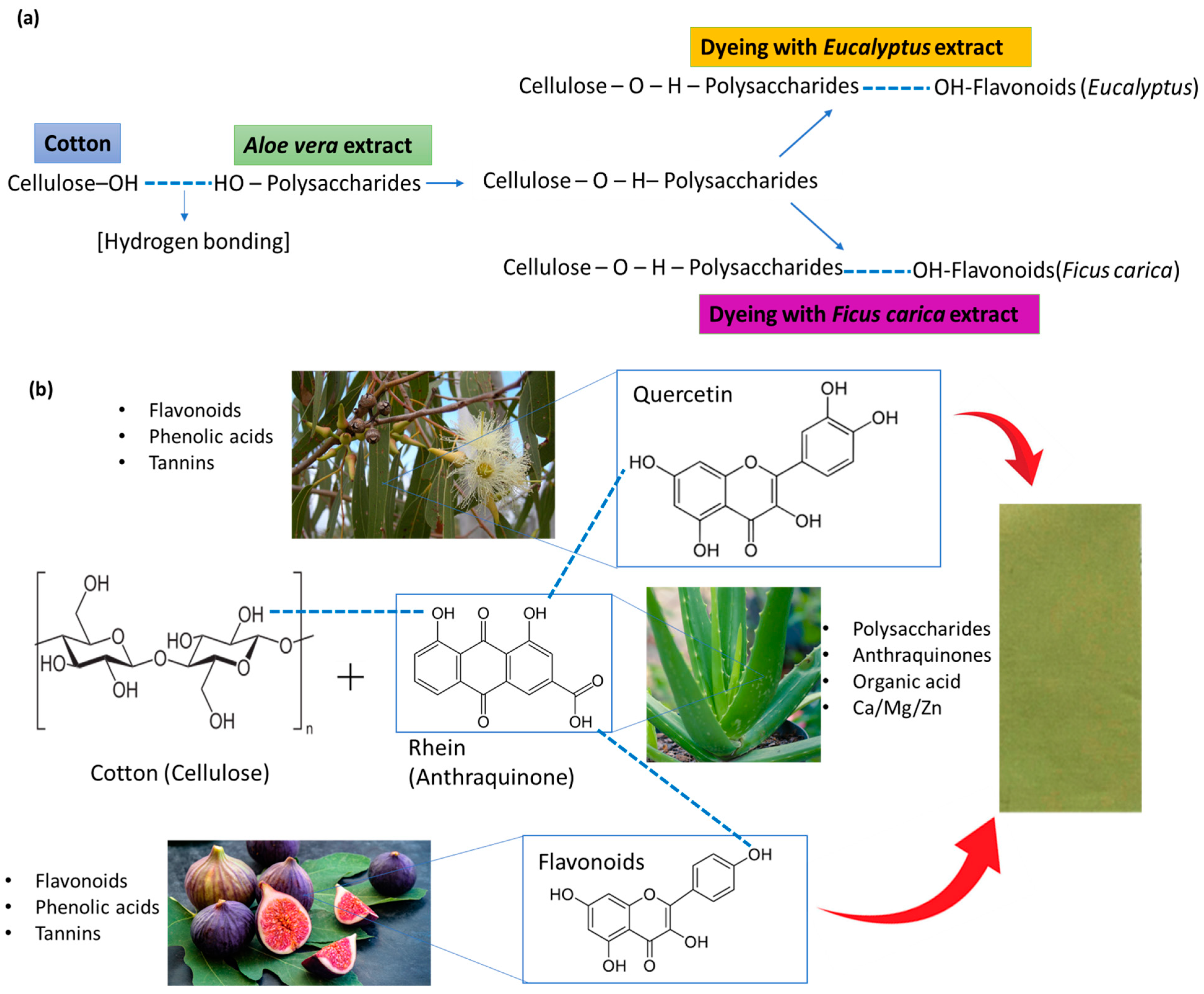 Resources 14 00127 g006