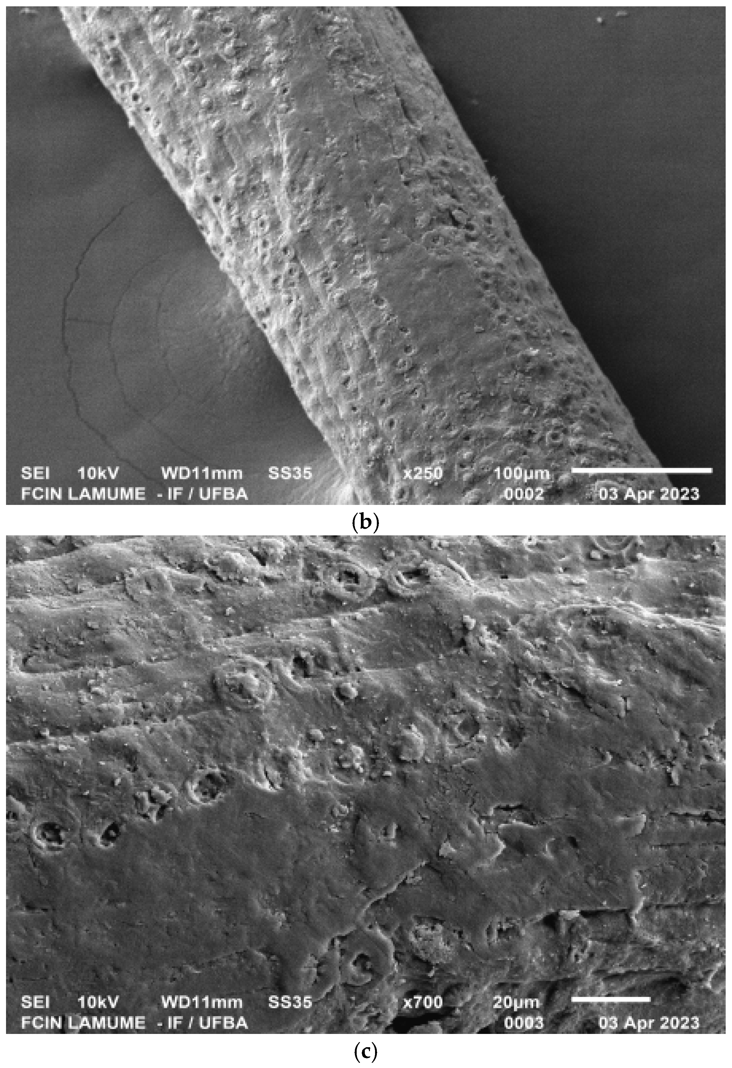 Resources 14 00159 g001b Resources 14 00159 g001b