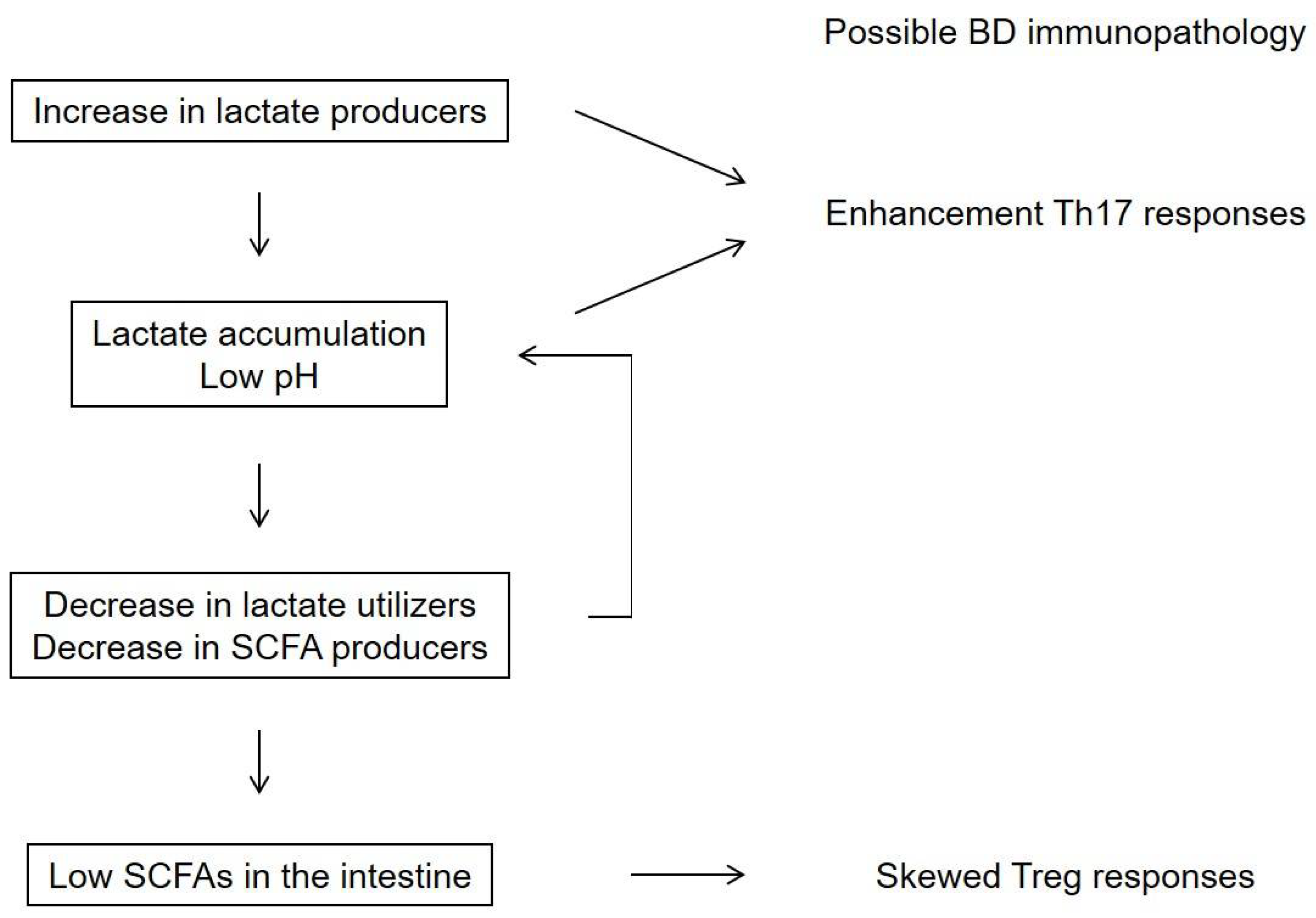Rheumato 02 00010 g003