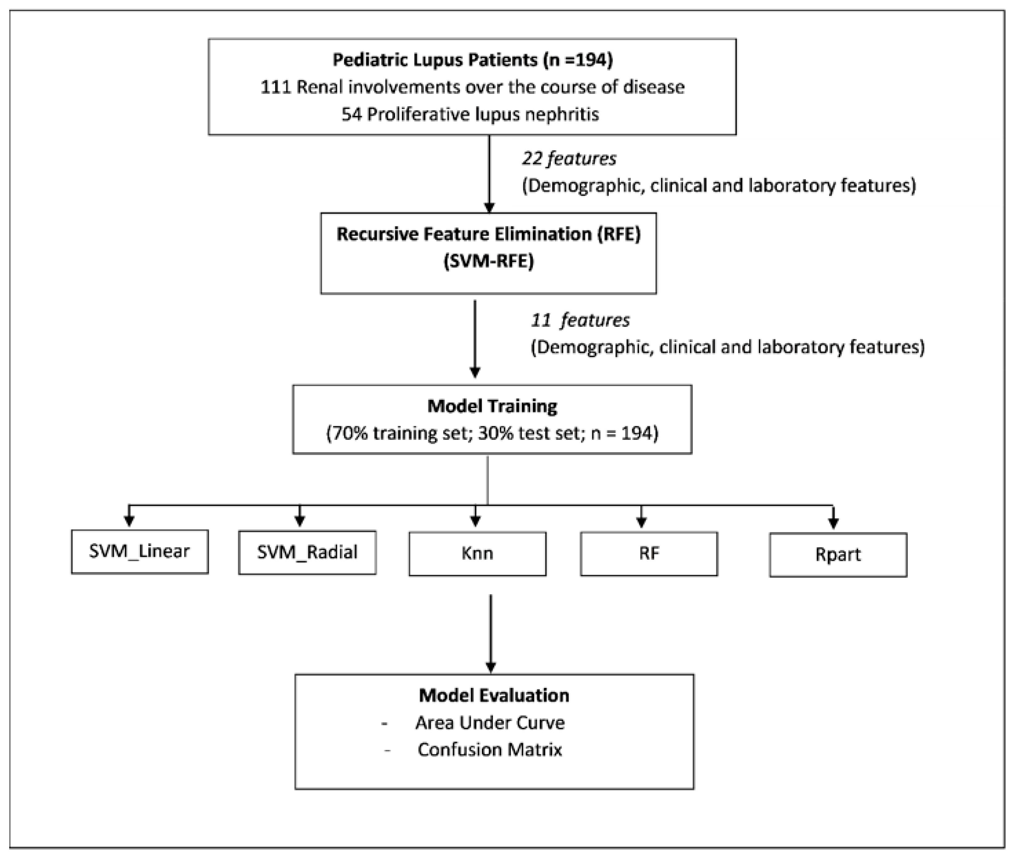 Rheumato 03 00007 g001