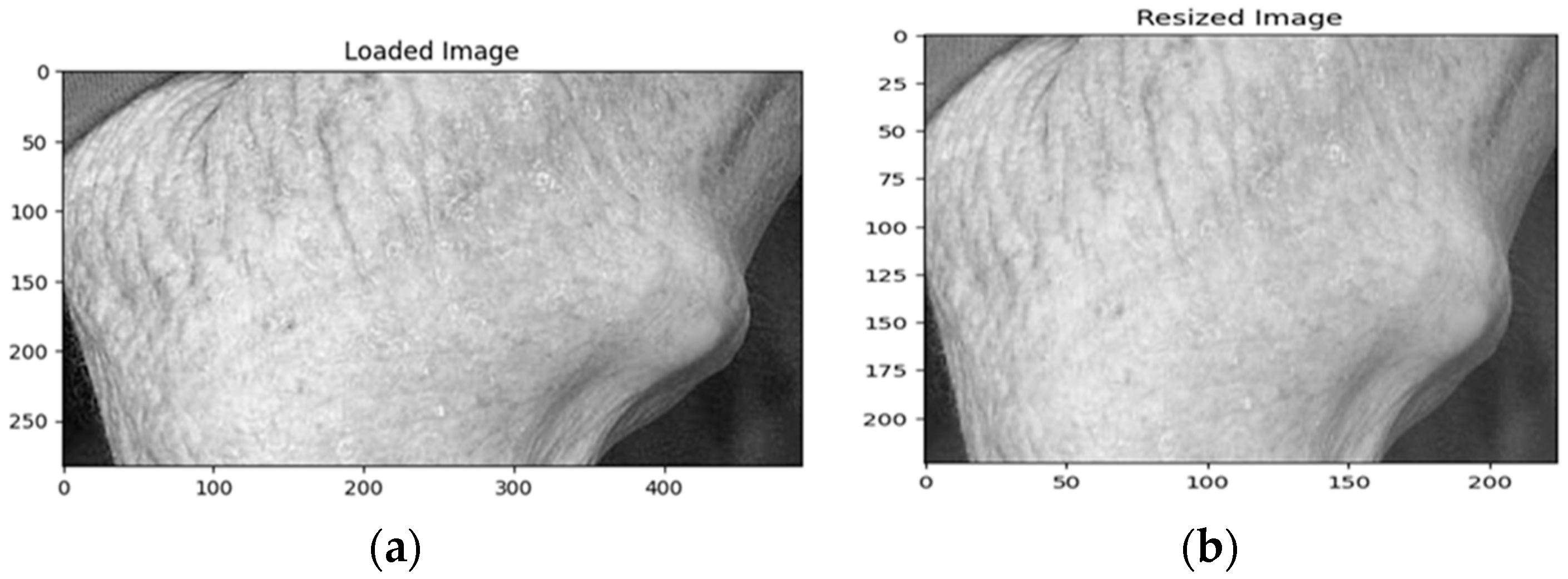 Rheumato 04 00014 g001