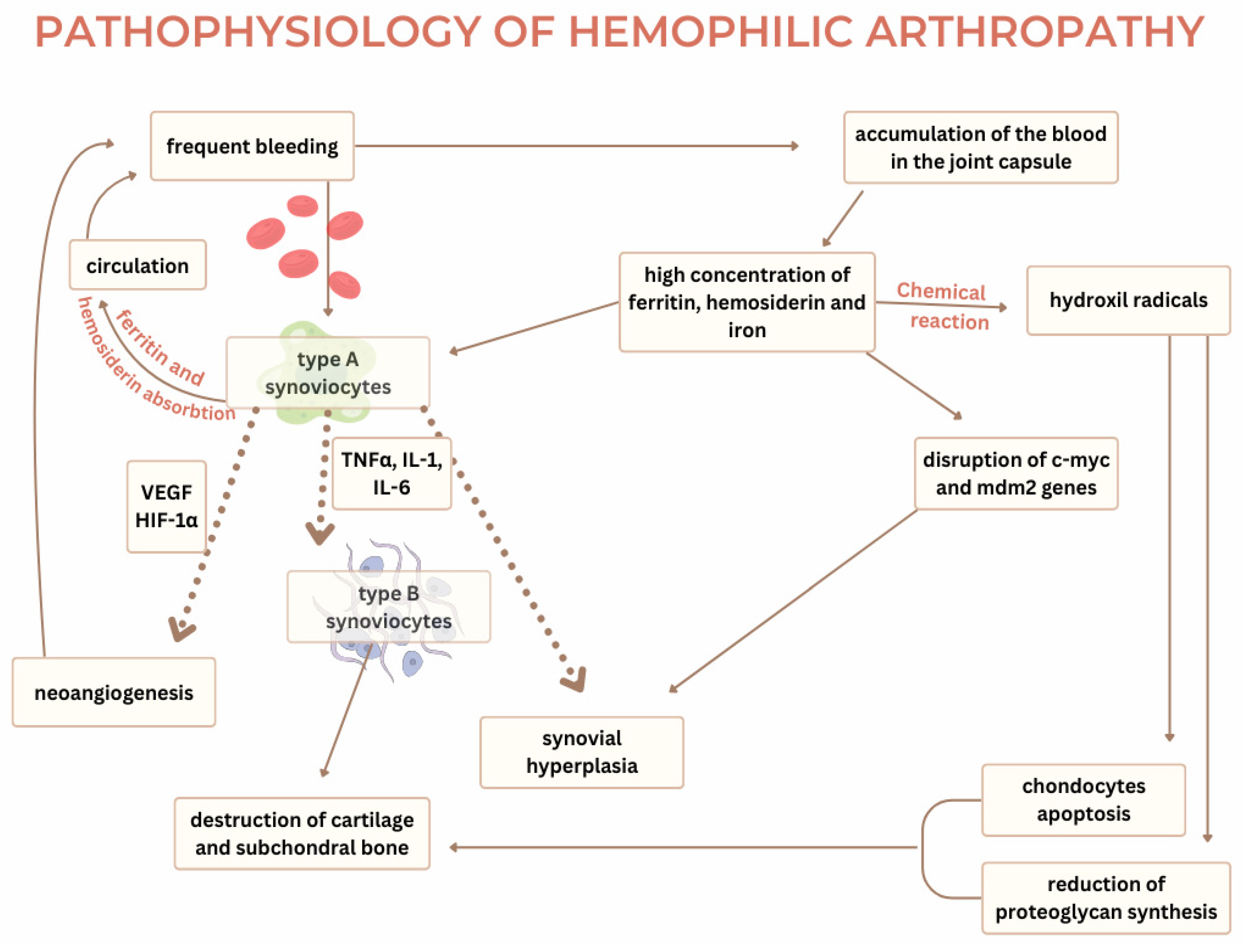 Rheumato 05 00005 g002