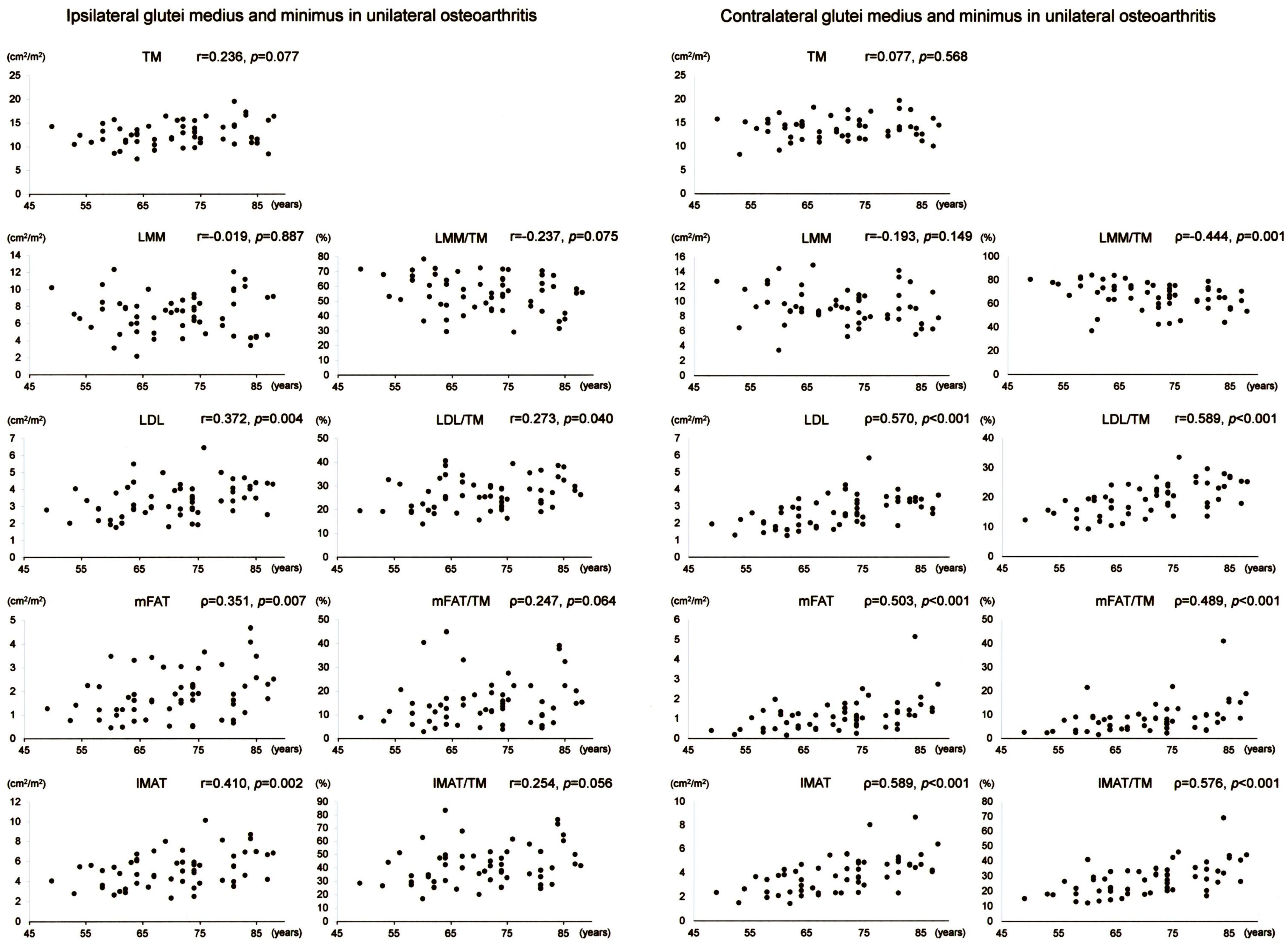 Rheumato 05 00006 g002