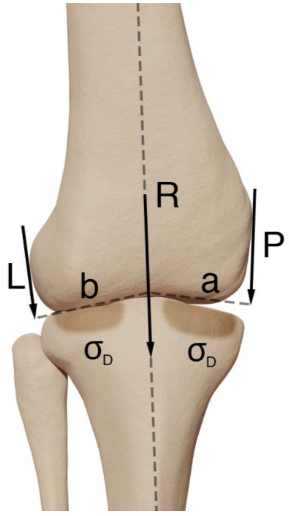 Rheumato 05 00008 g001