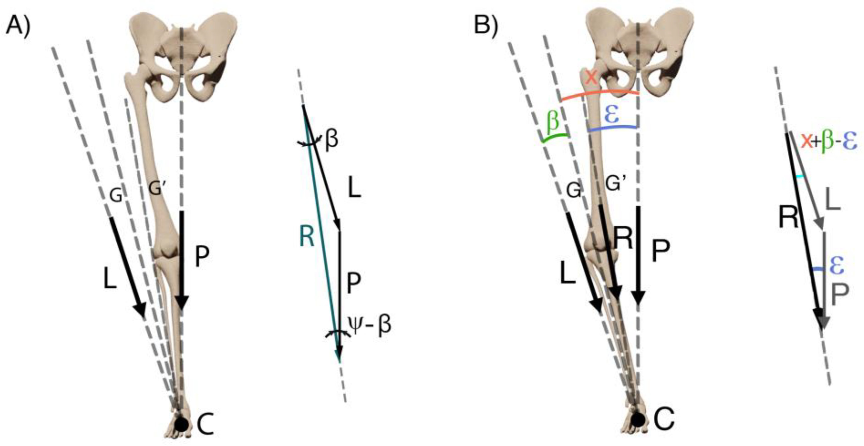 Rheumato 05 00008 g002