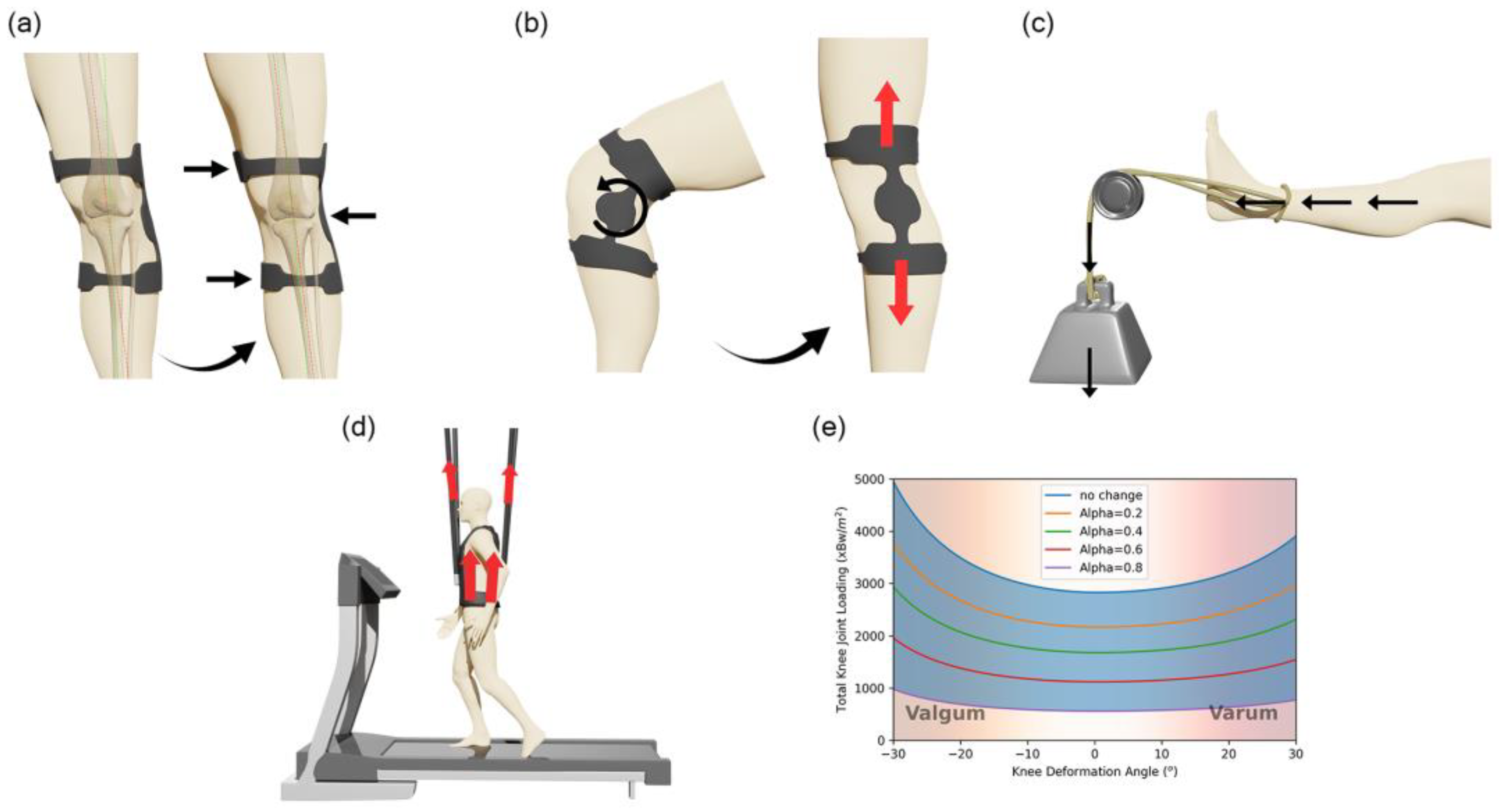 Rheumato 05 00008 g004