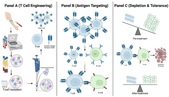 Schematic of CAR-T cell engineering and immune modulation in autoimmune disease. Autologous T cells are extracted, genetically modified to express a chimeric antigen receptor (CAR), expanded, and reinfused to eliminate autoreactive B cells and reset immune homeostasis. While early constructs focus on CD19-directed B-cell depletion, this framework also provides the basis for next-generation innovations—including dual-target CARs, CAR-Tregs, and integrated kill switches—designed to enhance specificity, safety, and durability in the treatment of autoimmune diseases.