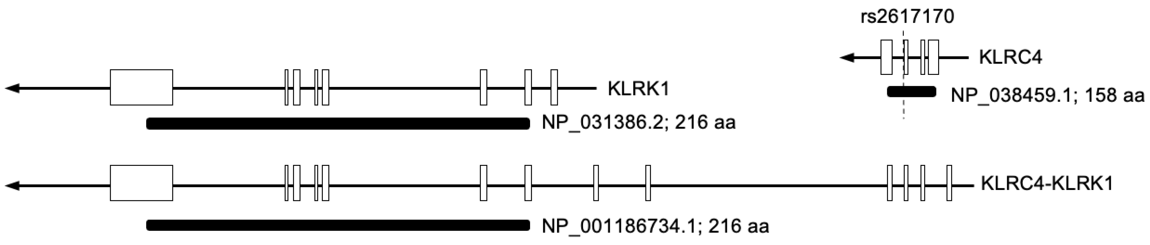 Rheumato 06 00011 g003 Rheumato 06 00011 g003