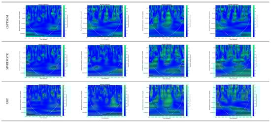 Risks 13 00046 g0a2b