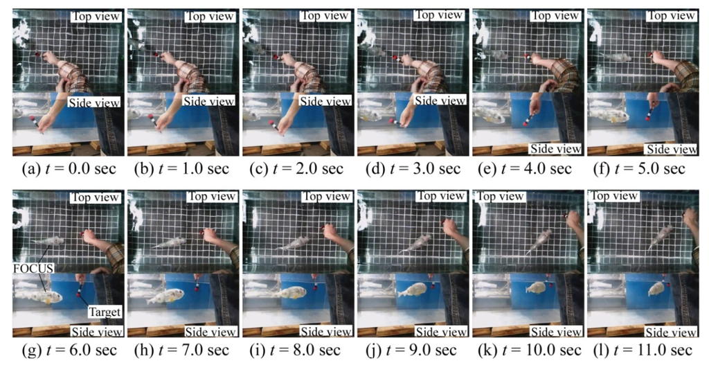 Robotics 03 00149 g006 1024