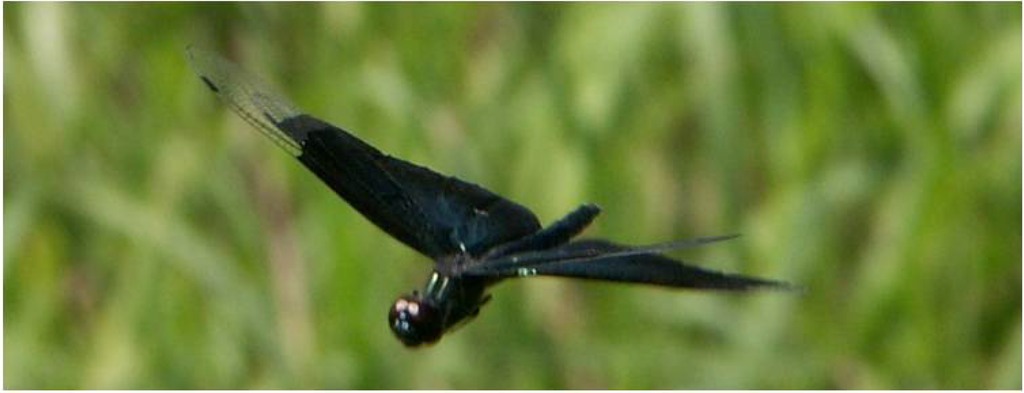 Robotics 03 00163 g009 1024