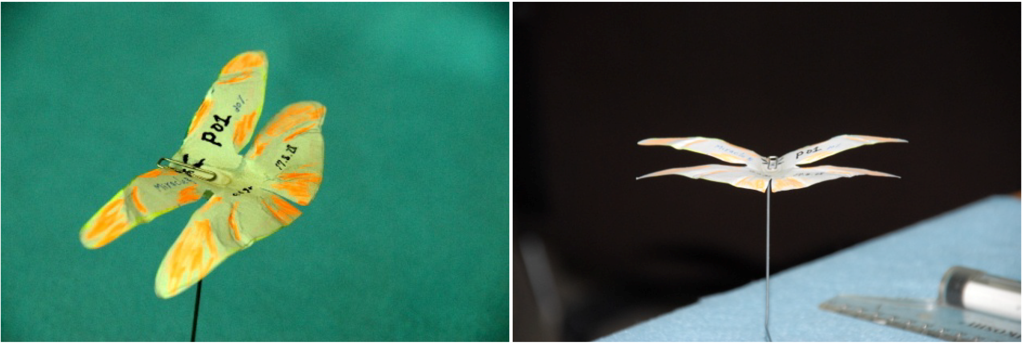 Robotics 03 00163 g010