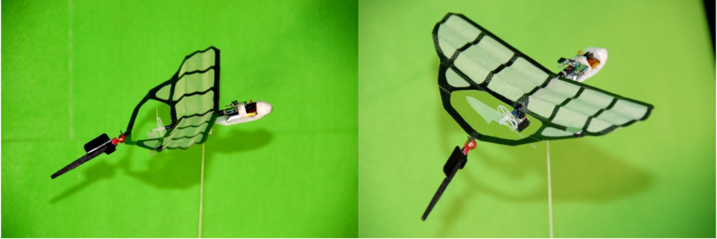 Robotics 03 00163 g013 1024