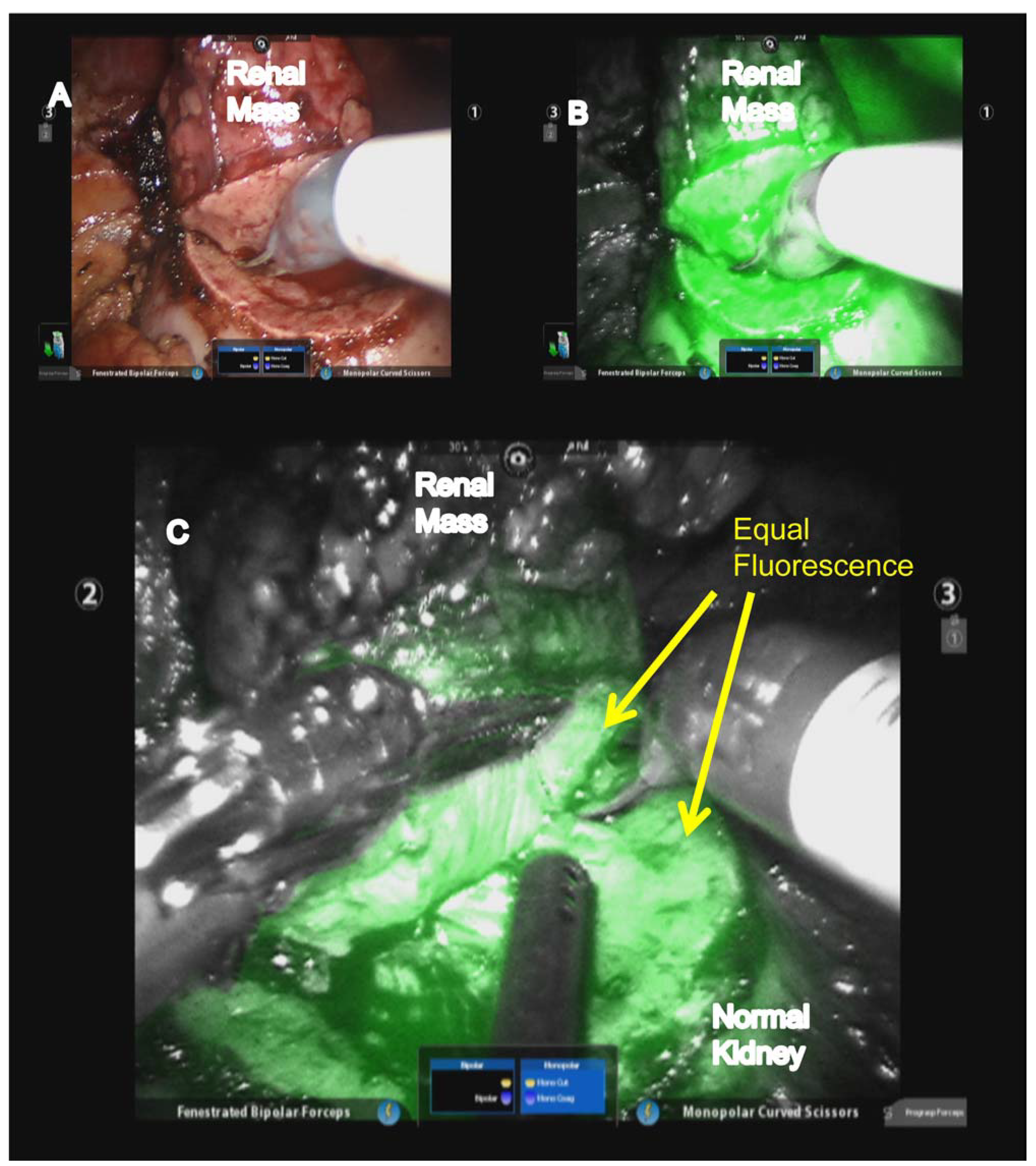 Robotics 03 00281 g001