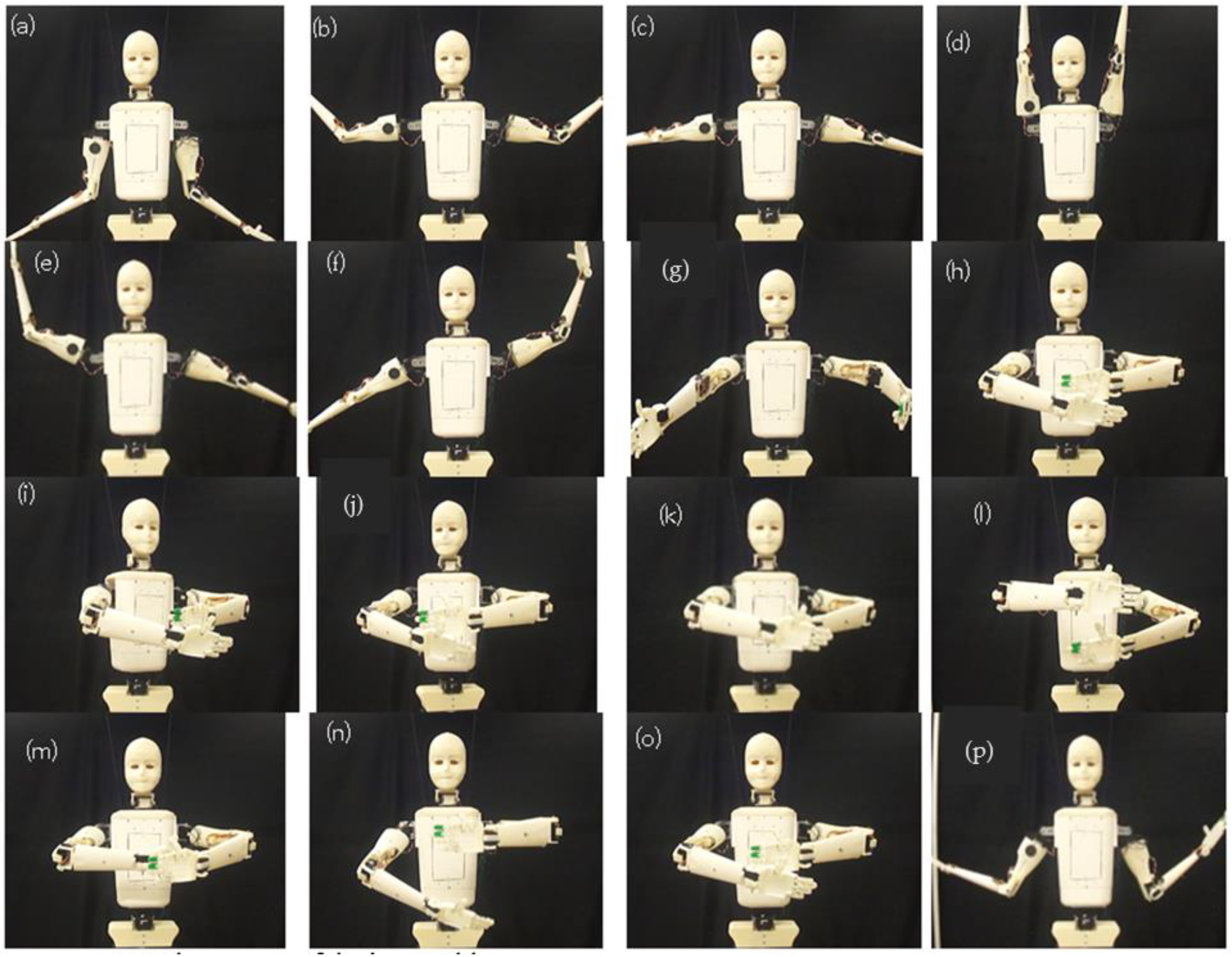 Robotics 05 00001 g013