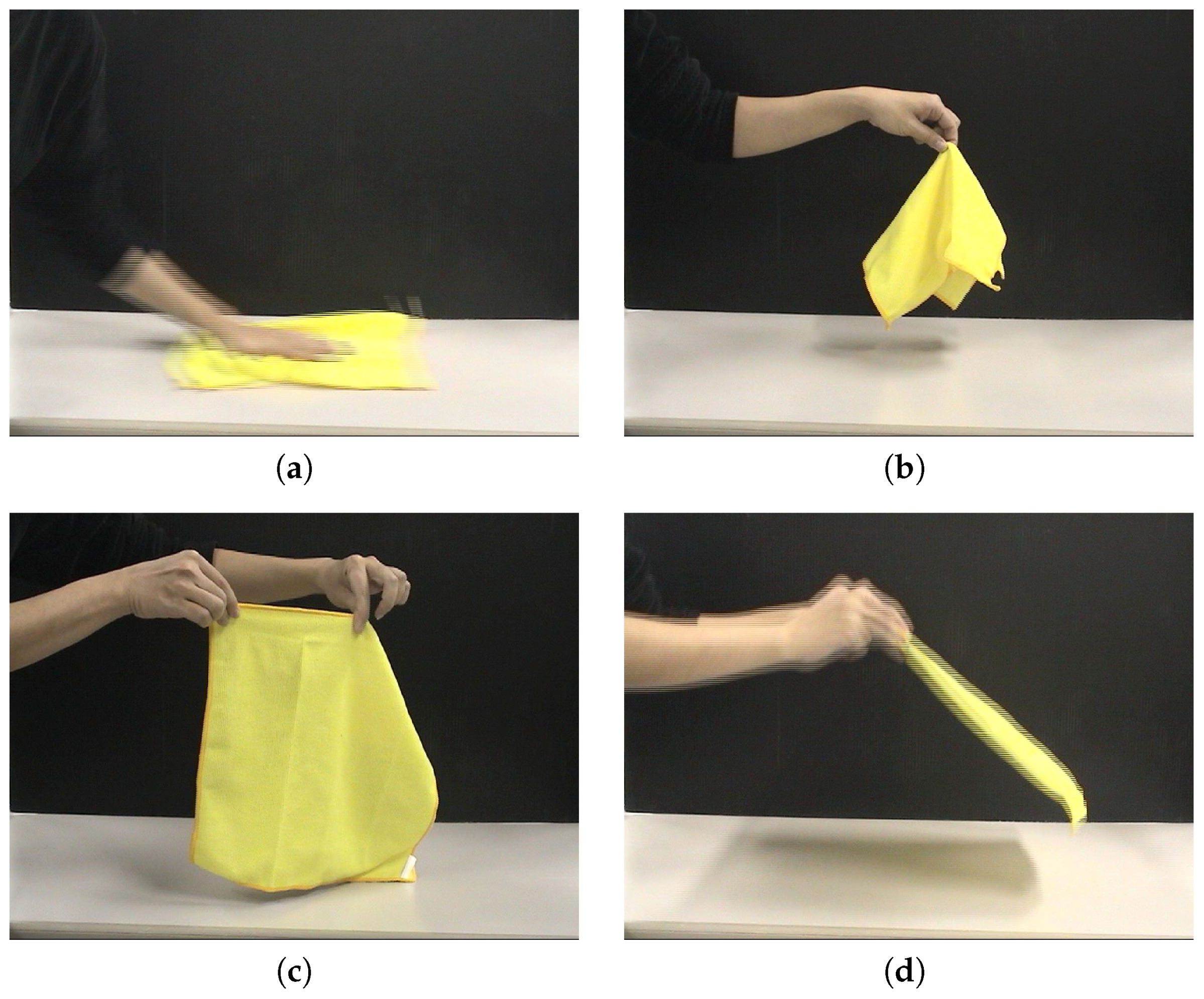 Robotics 05 00010 g001