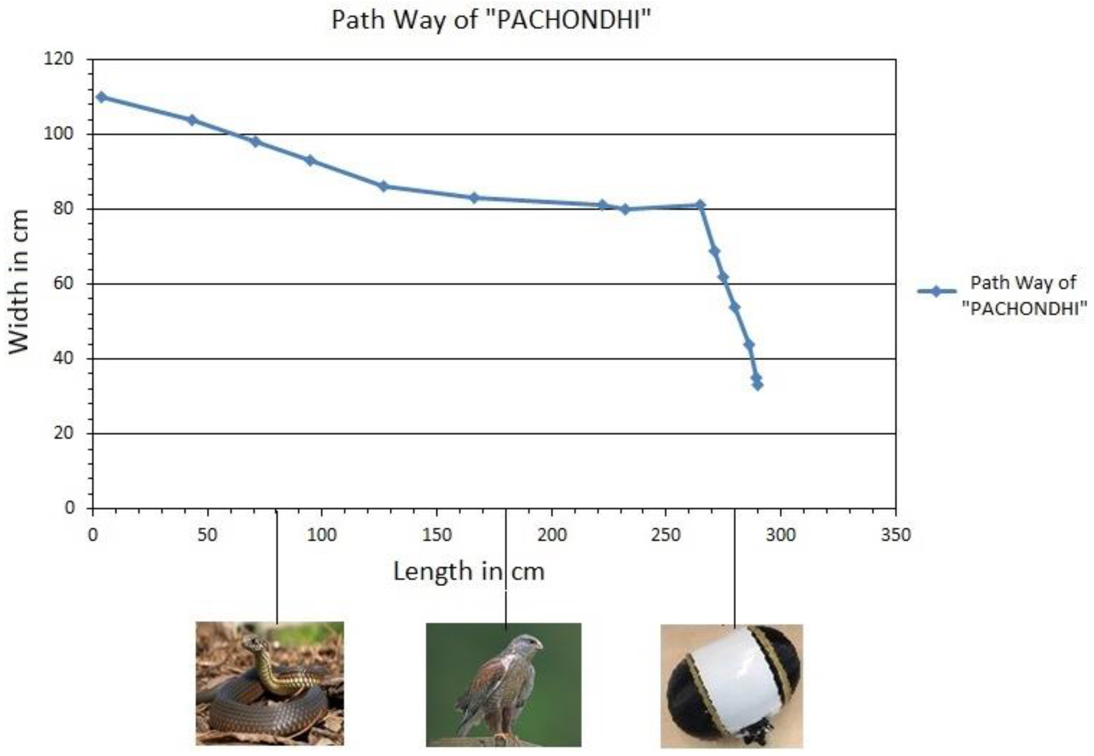 Robotics 05 00020 g008