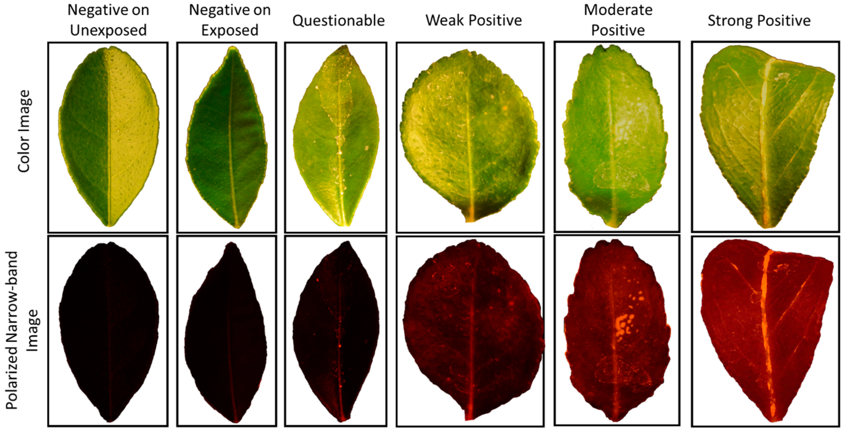 Robotics 06 00011 g002