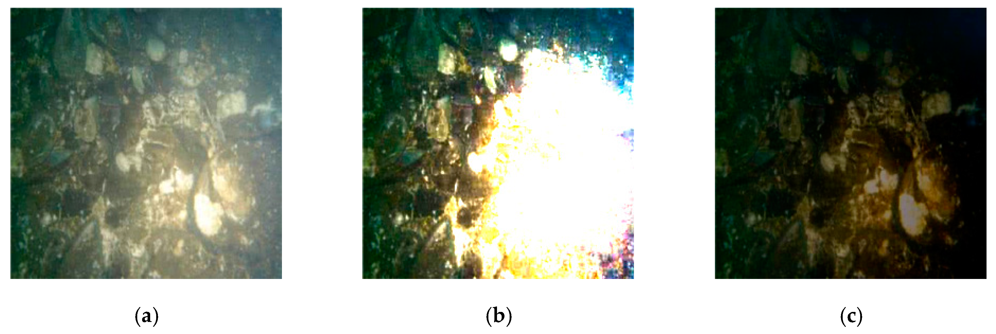 Robotics 07 00014 g003