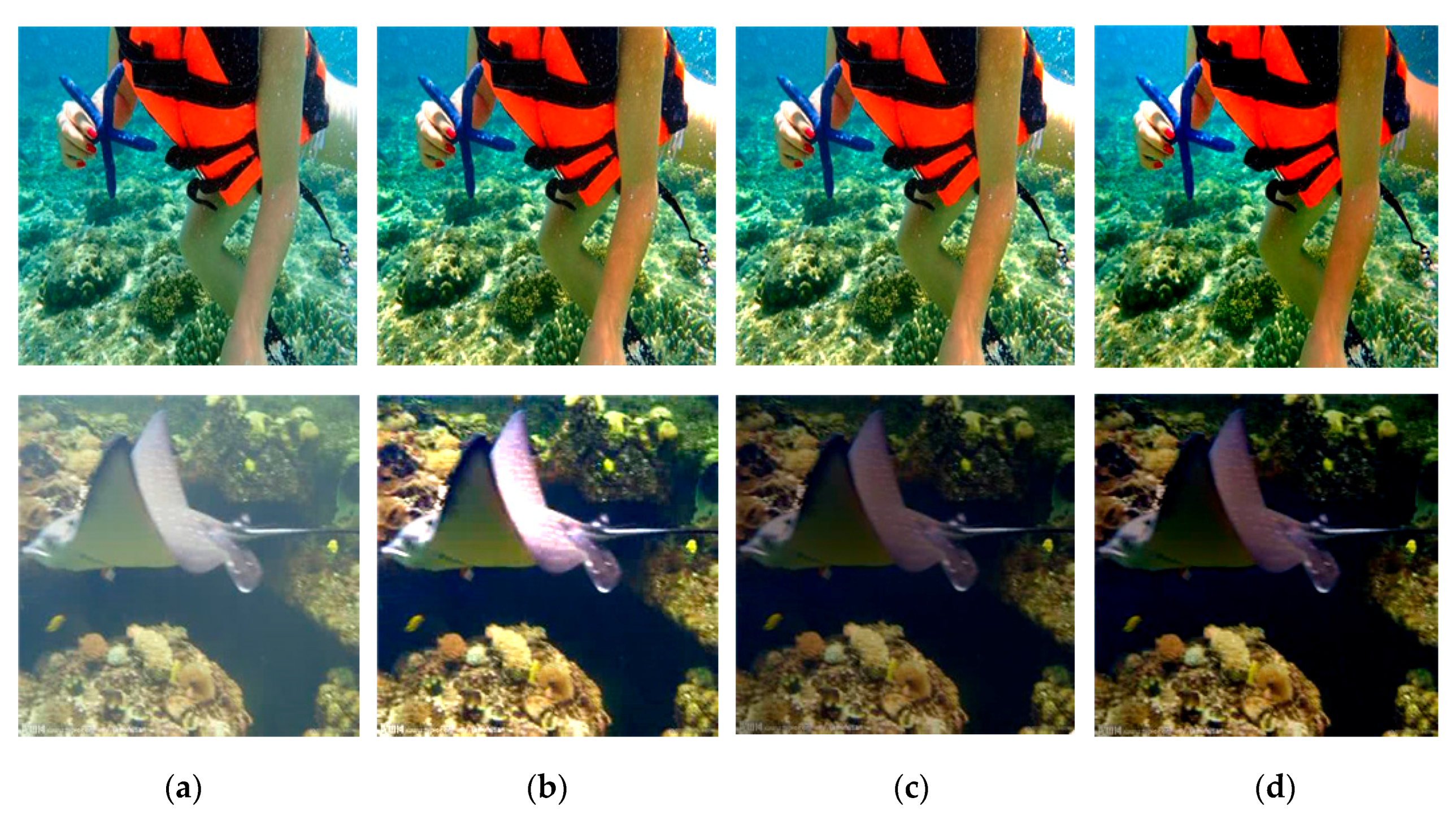 Robotics 07 00014 g008