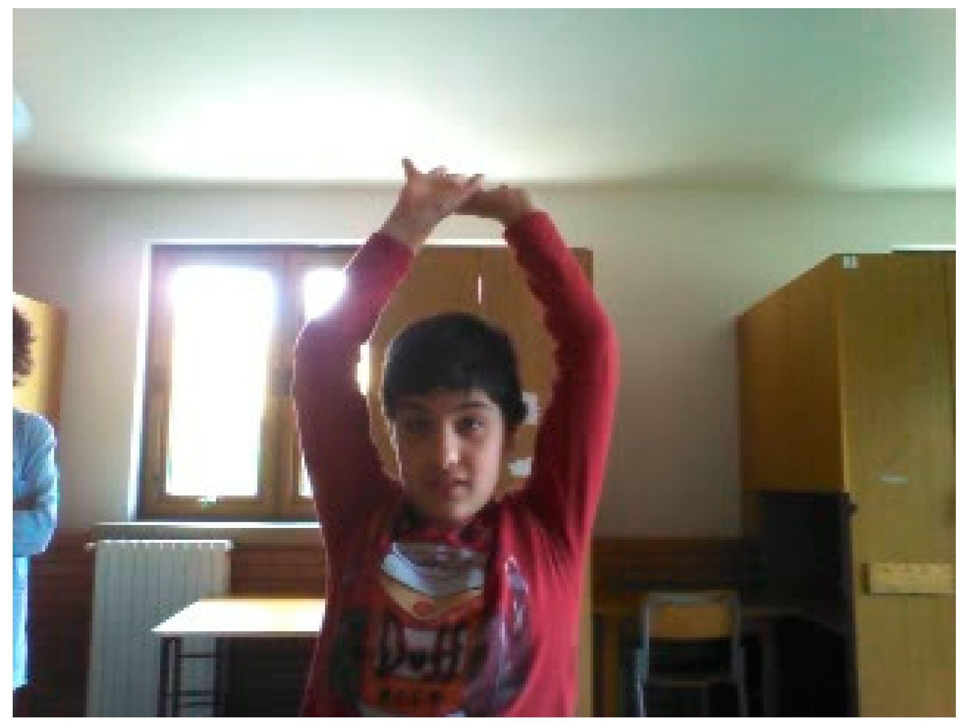 Robotics 07 00025 g003