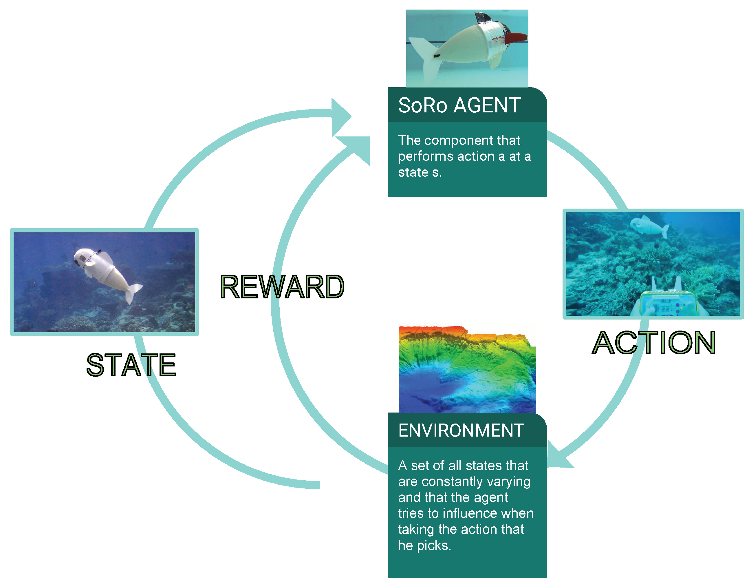 Robotics 08 00004 g002