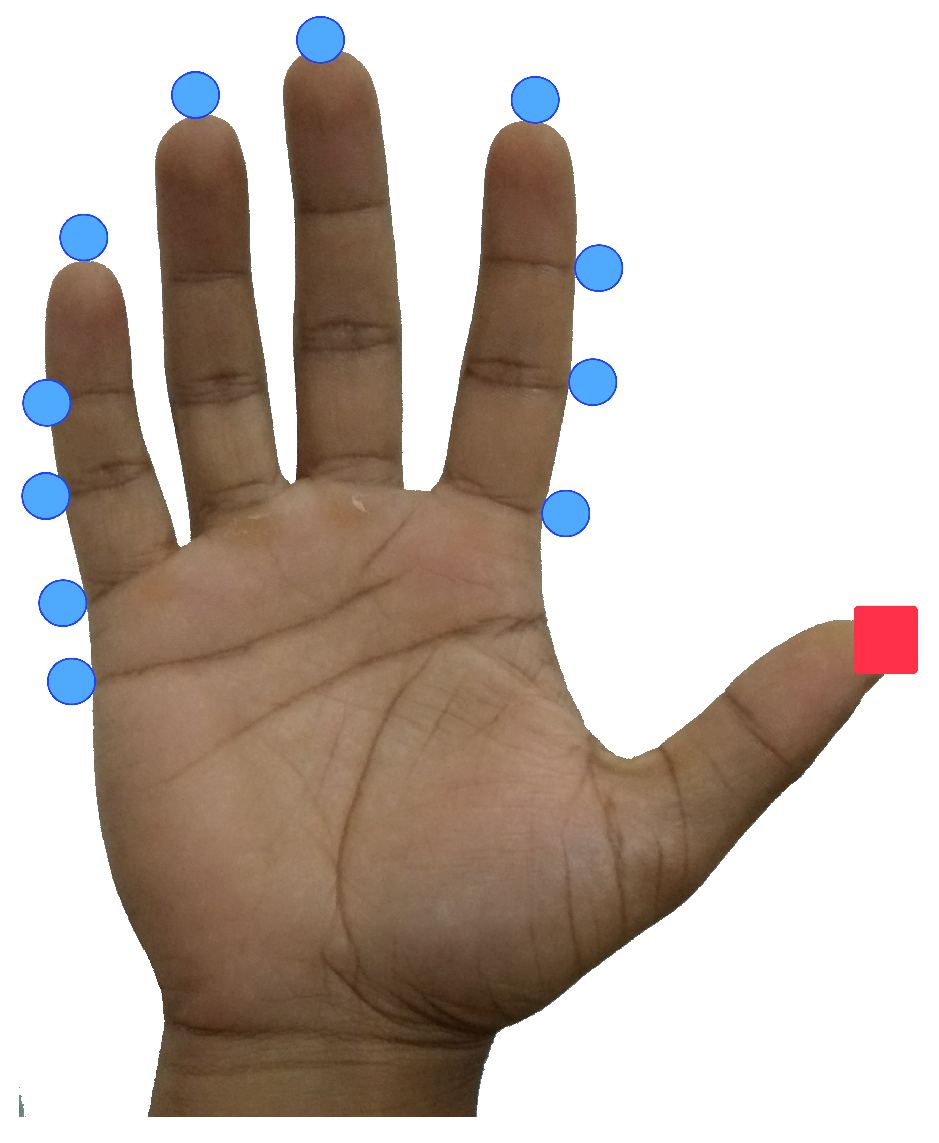 Robotics 08 00007 g002