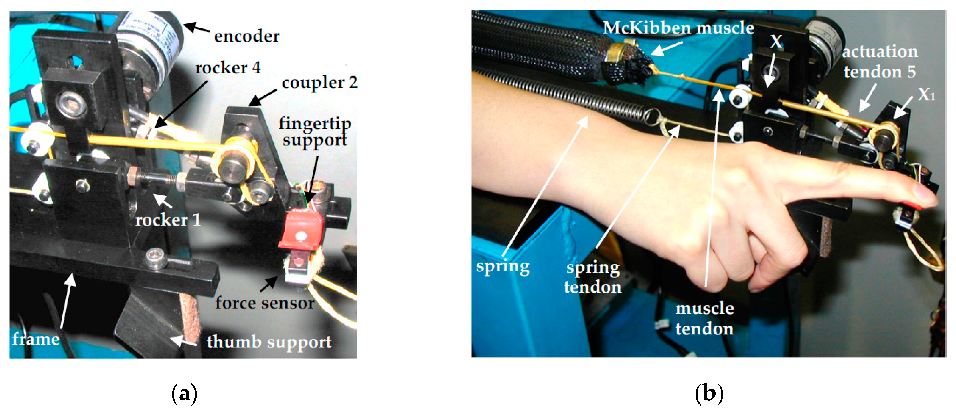 Robotics 08 00013 g004