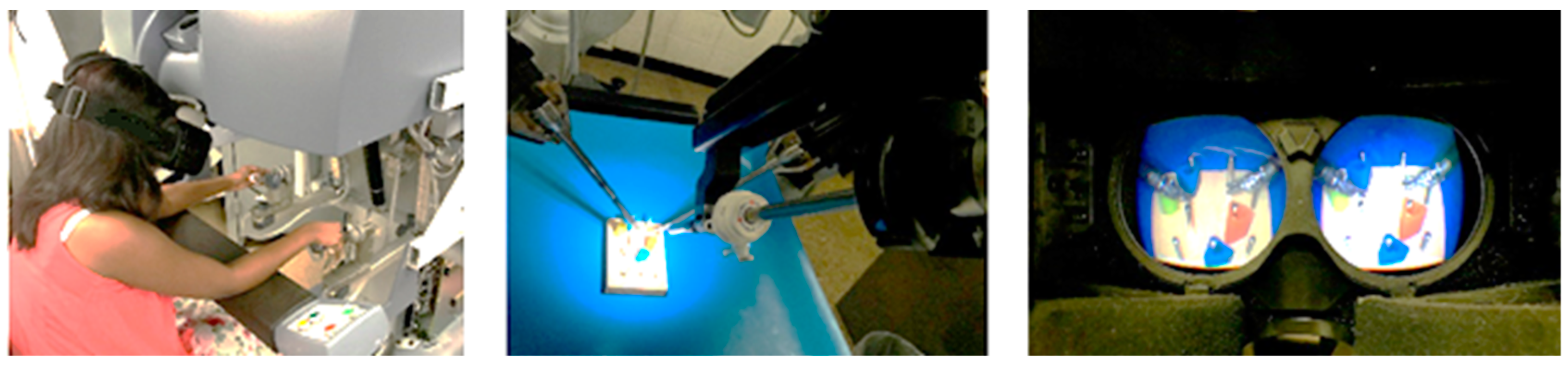 Robotics 08 00031 g002