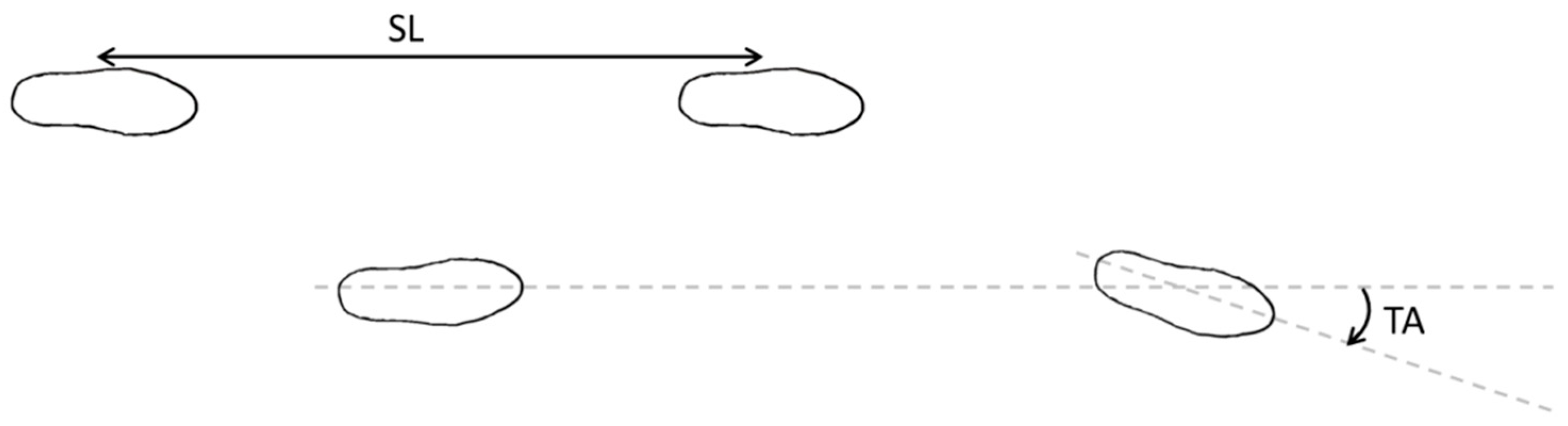 Robotics 08 00038 g002