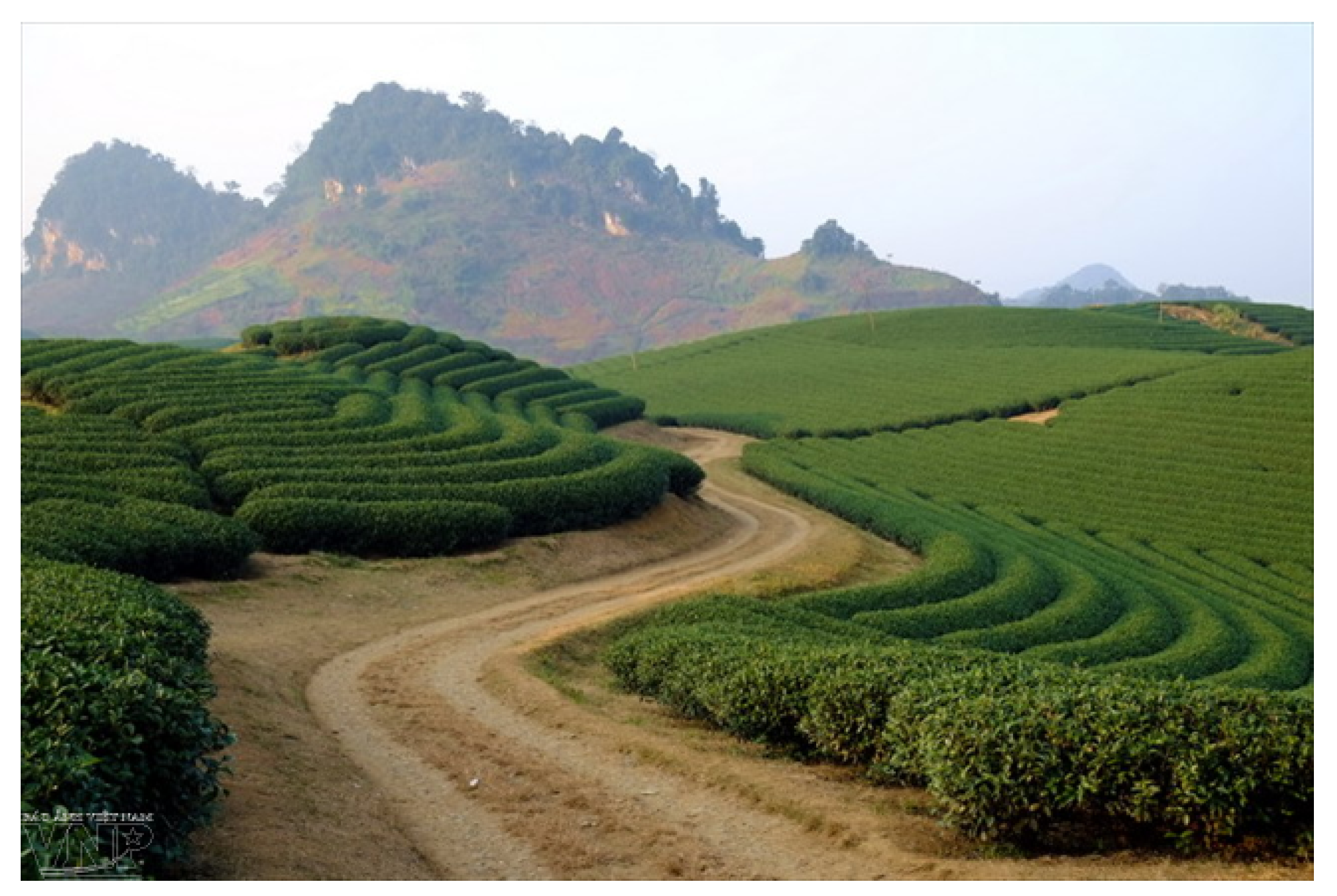 Robotics 08 00044 g019