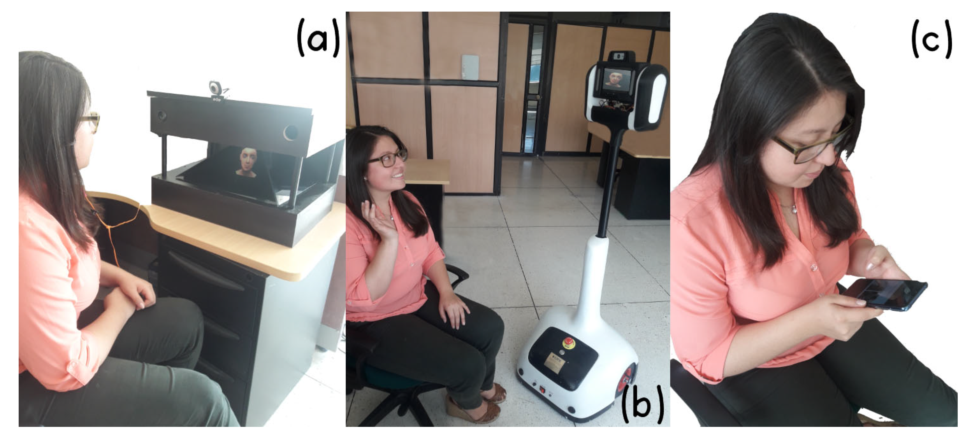 Robotics 08 00076 g008