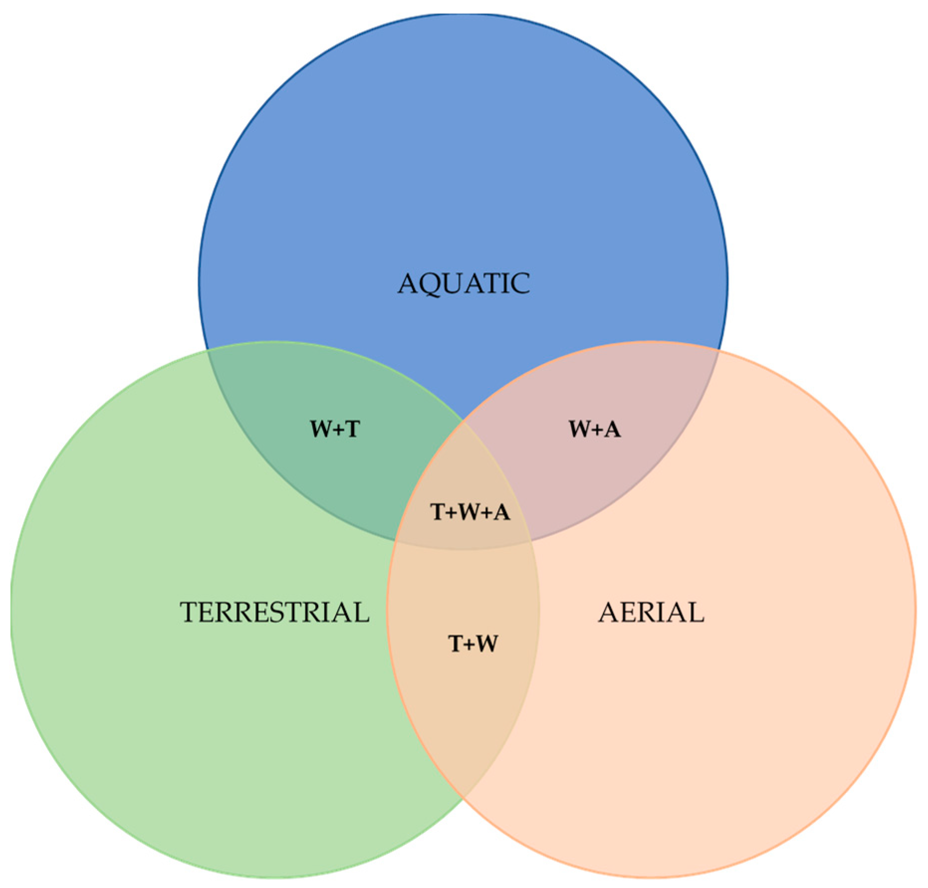 Robotics 09 00032 g001