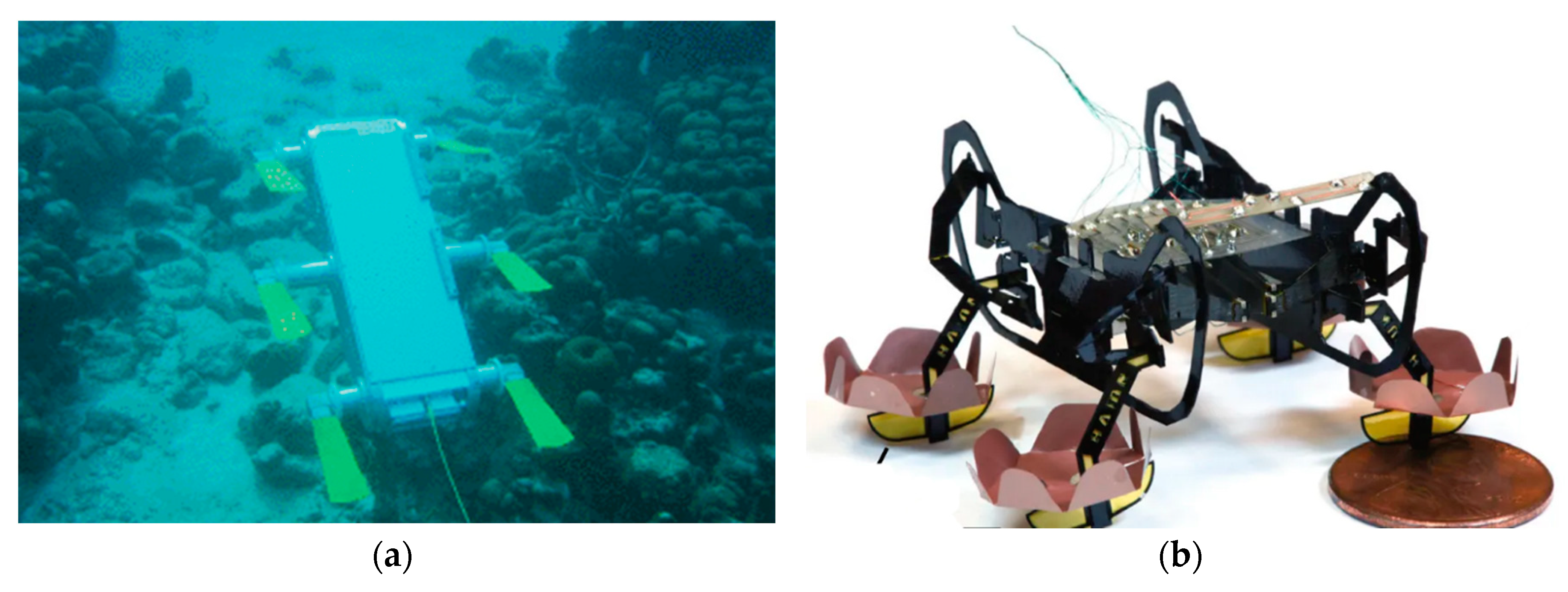 Robotics 09 00032 g005