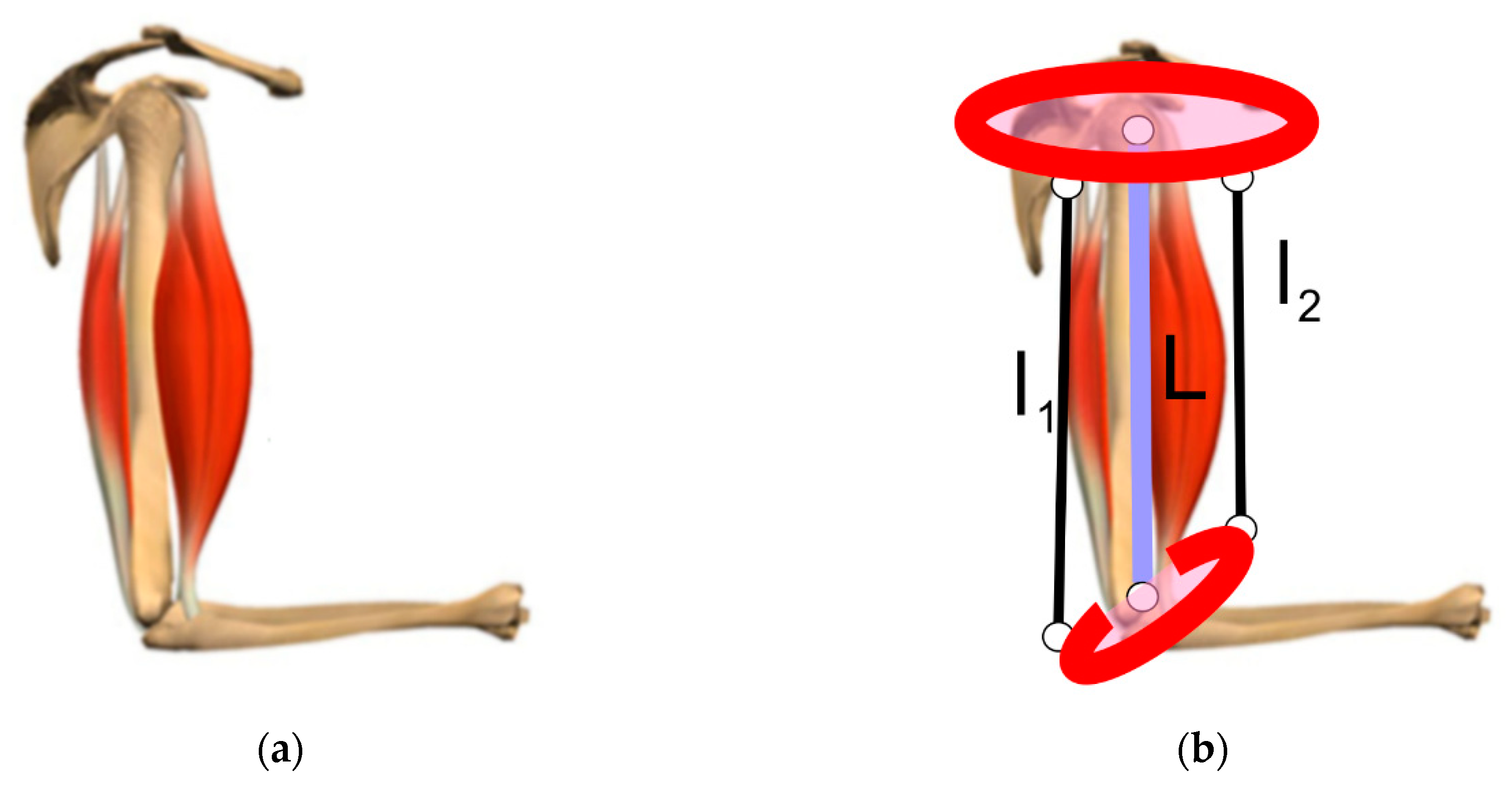 Robotics 09 00075 g002