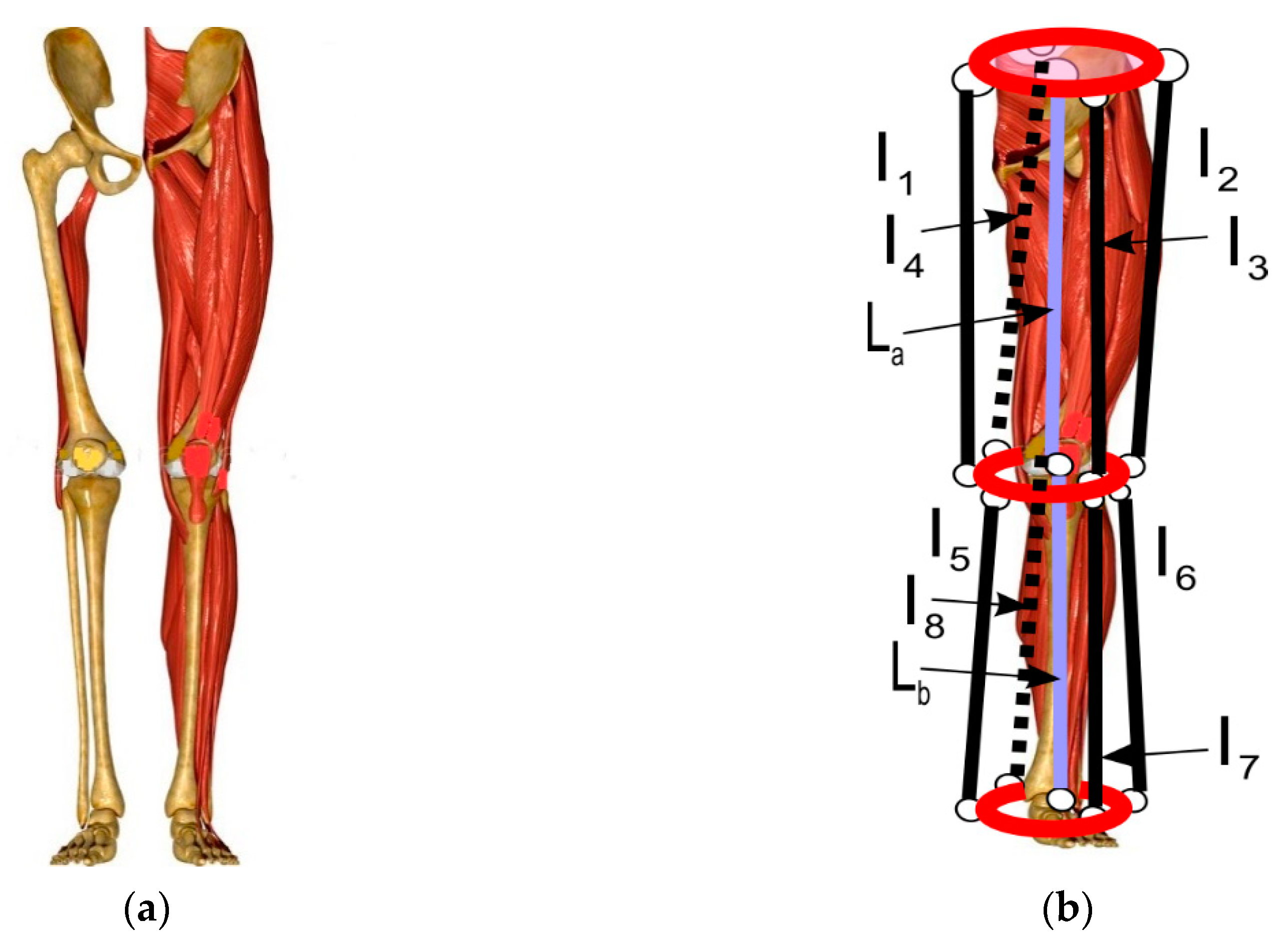 Robotics 09 00075 g004