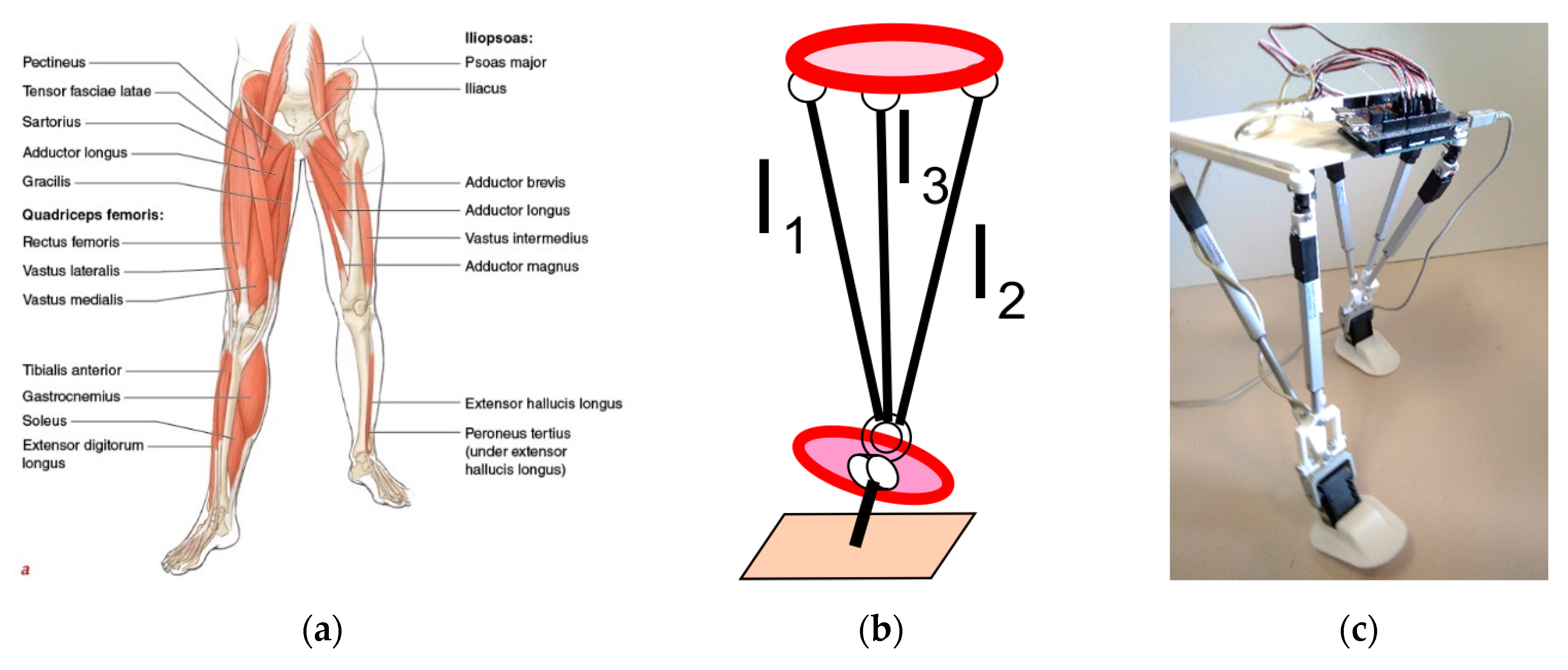Robotics 09 00075 g009