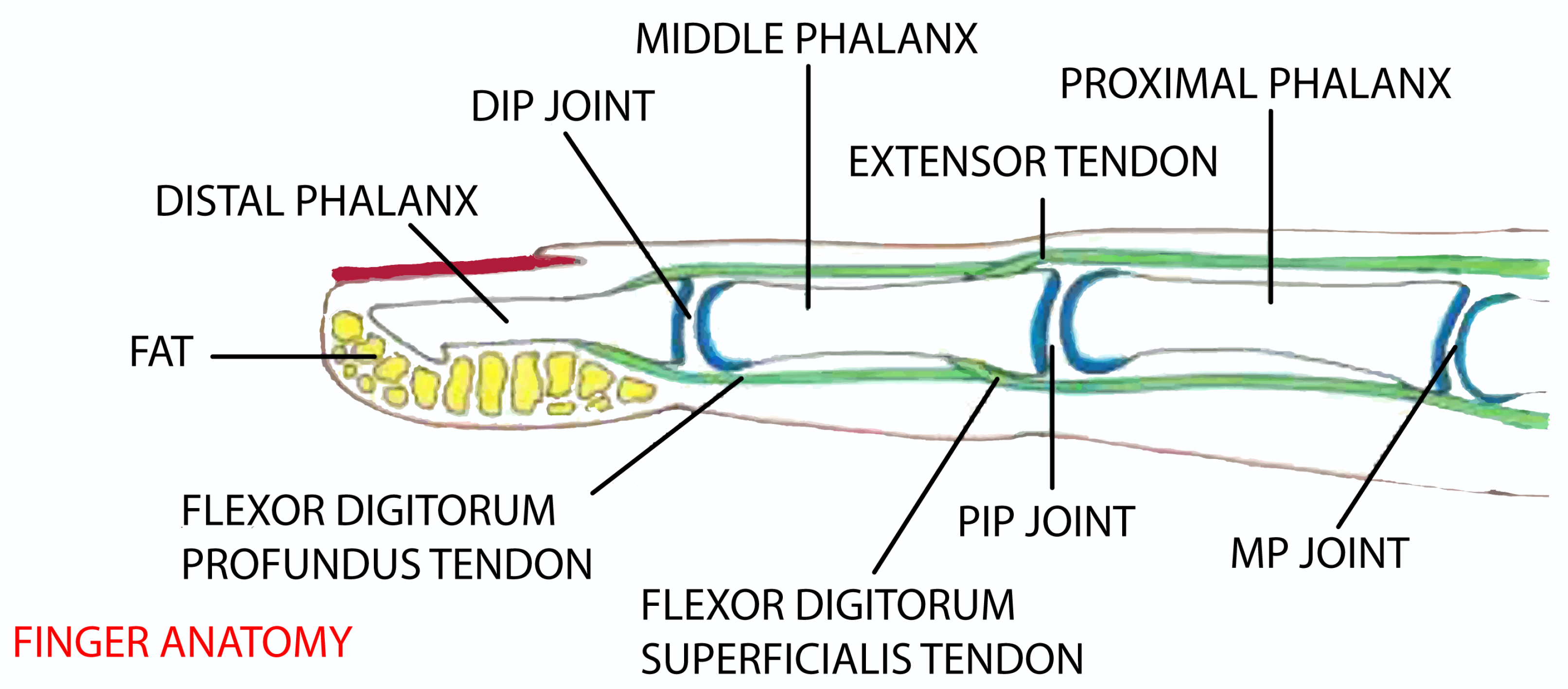 Robotics 09 00080 g001