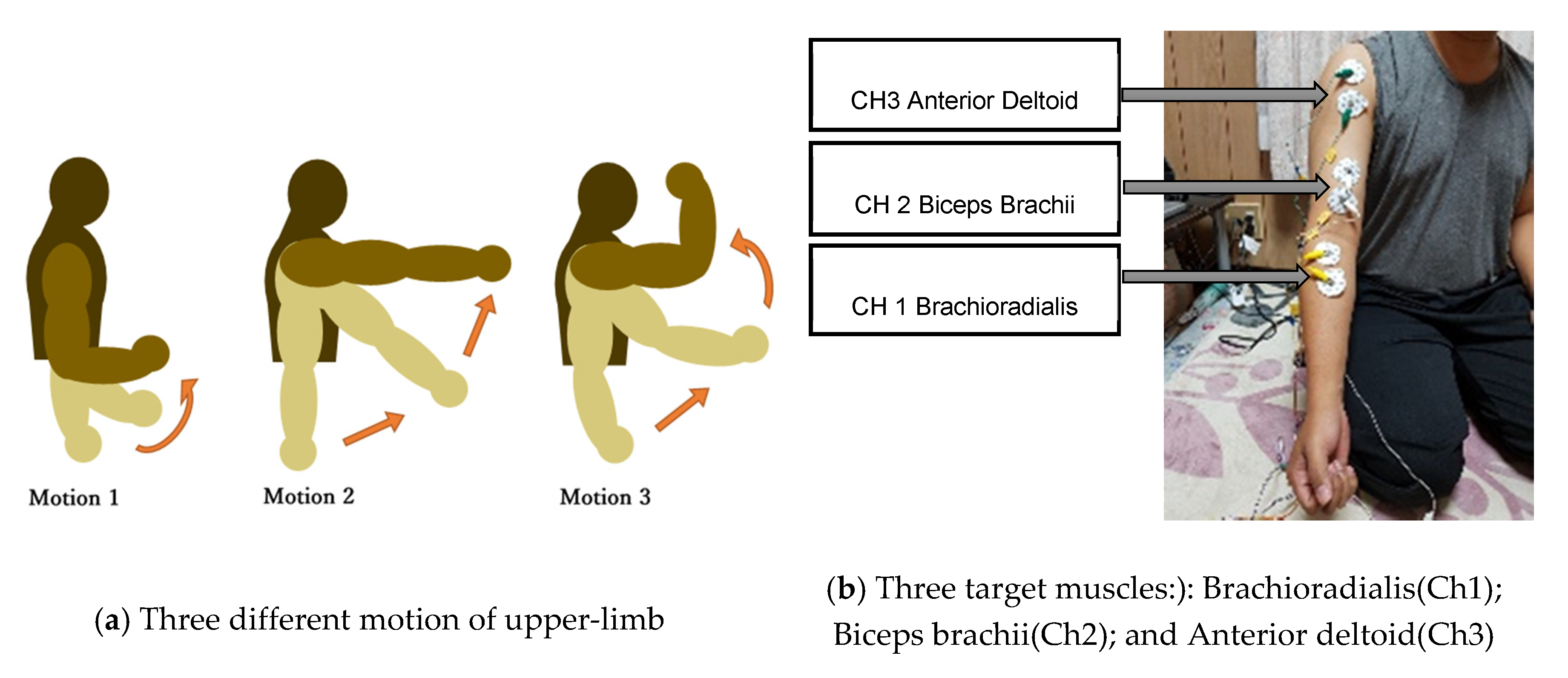 Robotics 09 00083 g004