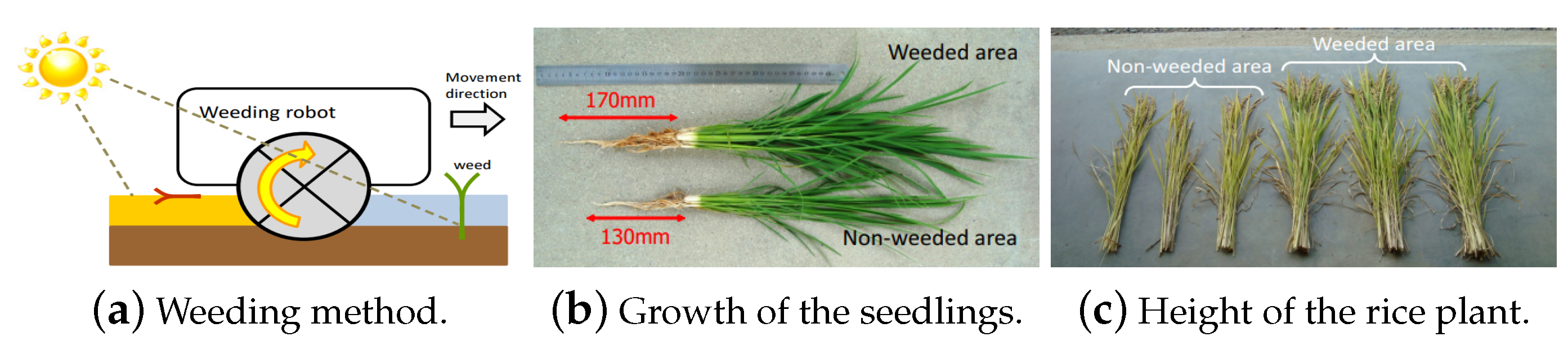 Robotics 10 00052 g007