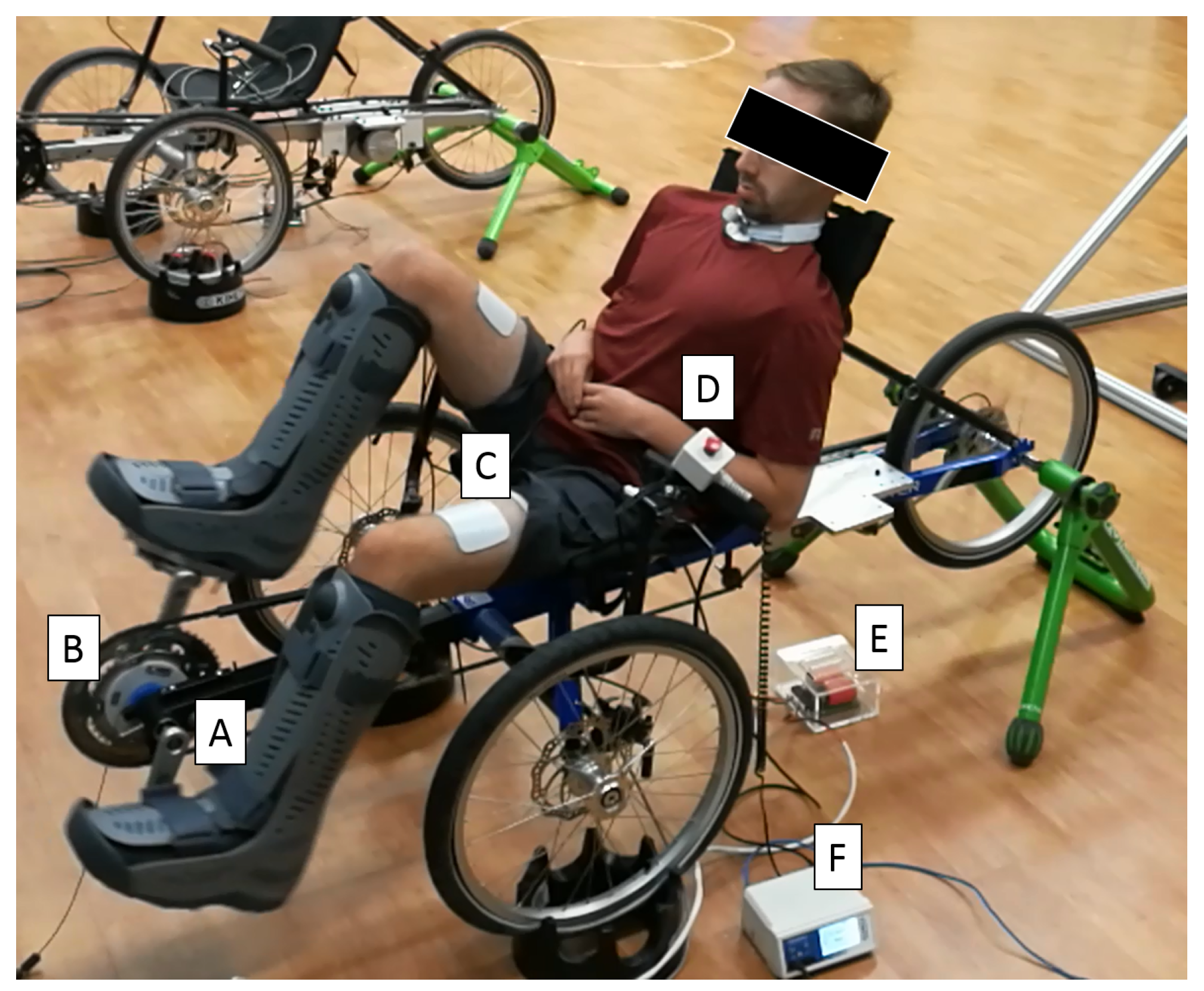 Robotics 10 00061 g002